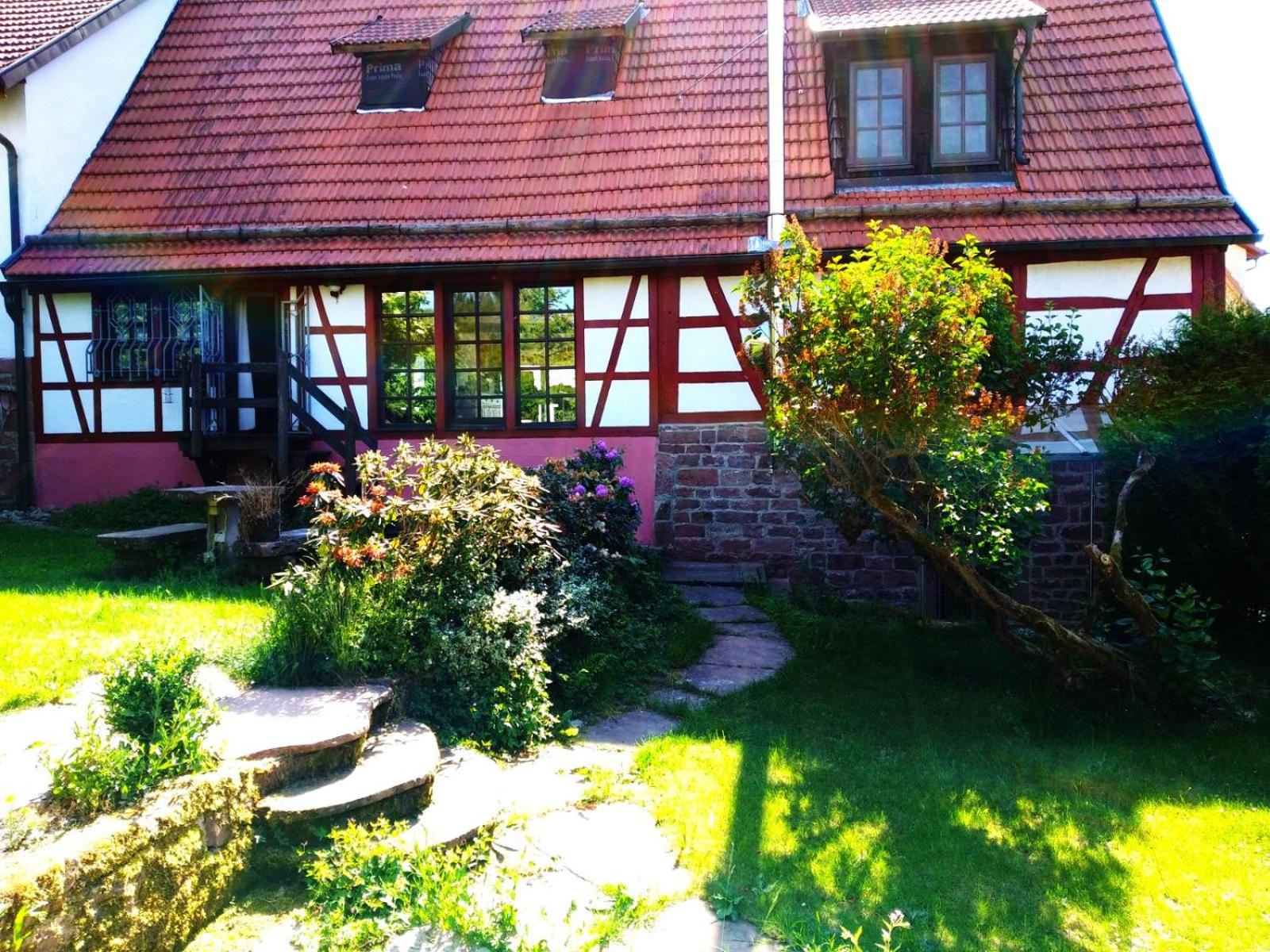 Ferienhaus Marré - mit Grill, Feuerstelle und Gartensauna view 5