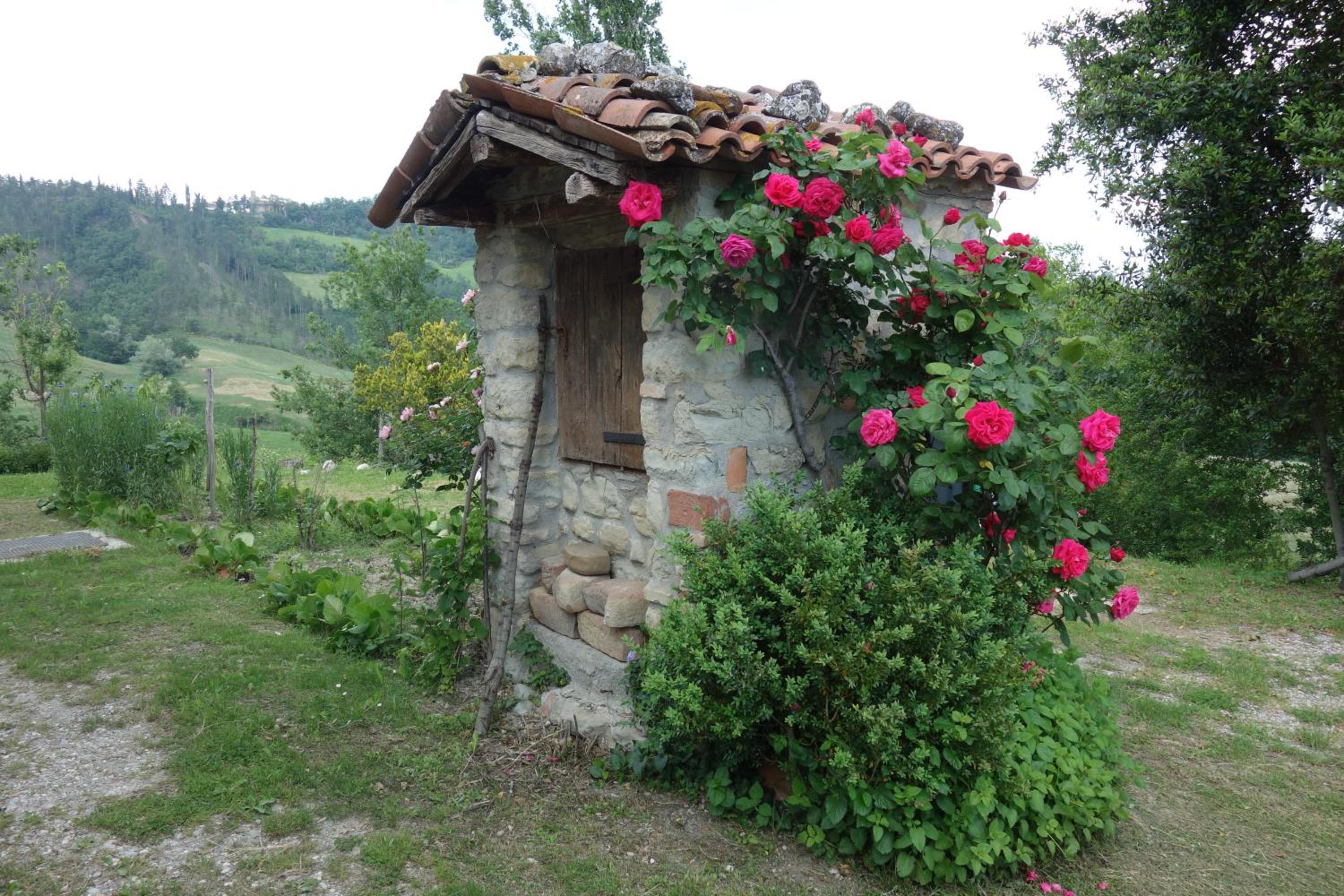 Monte Bibele