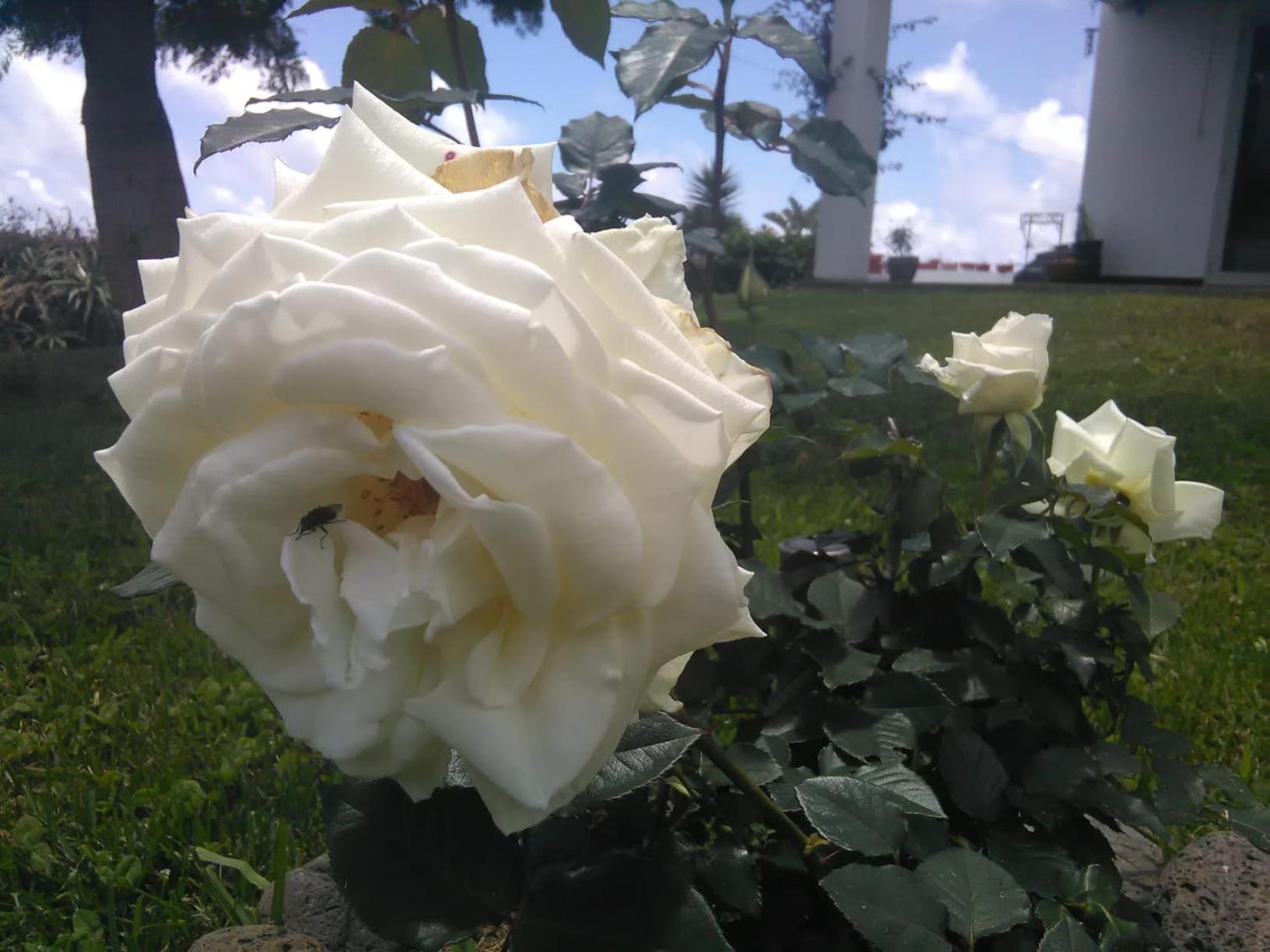 Photo 32