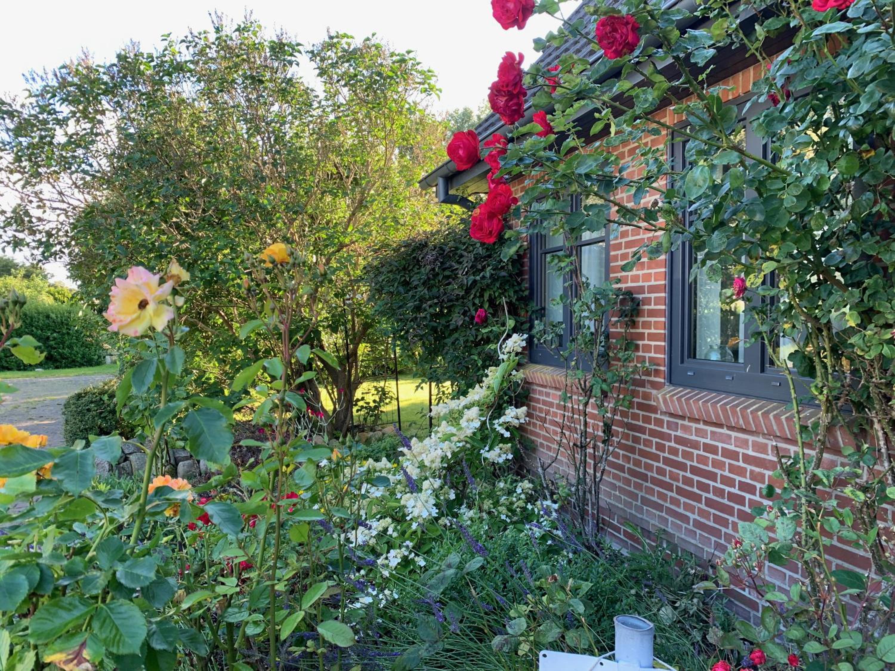 Charmantes Haus mit zwei Ferienwohnungen und großem Garten in Aventoft - Enjoy!