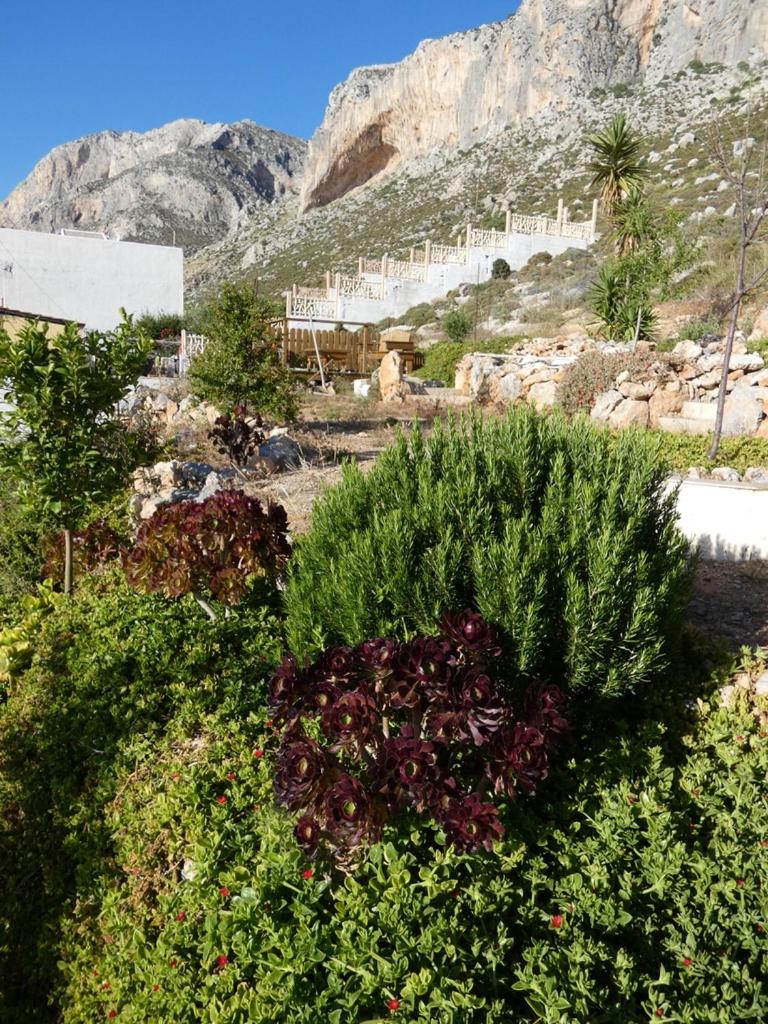 Photo 42