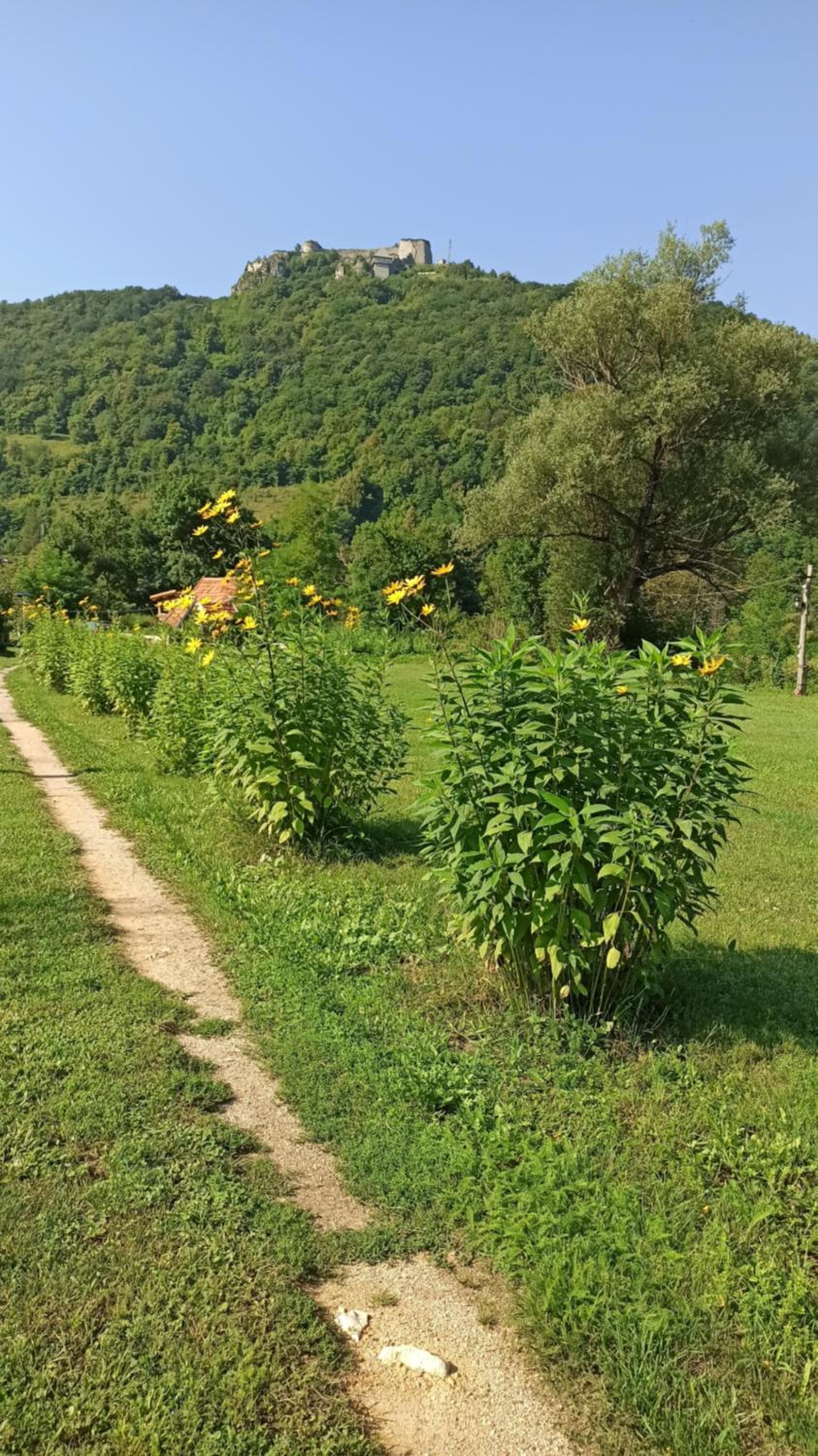 BUNGALOV COZY UNA
