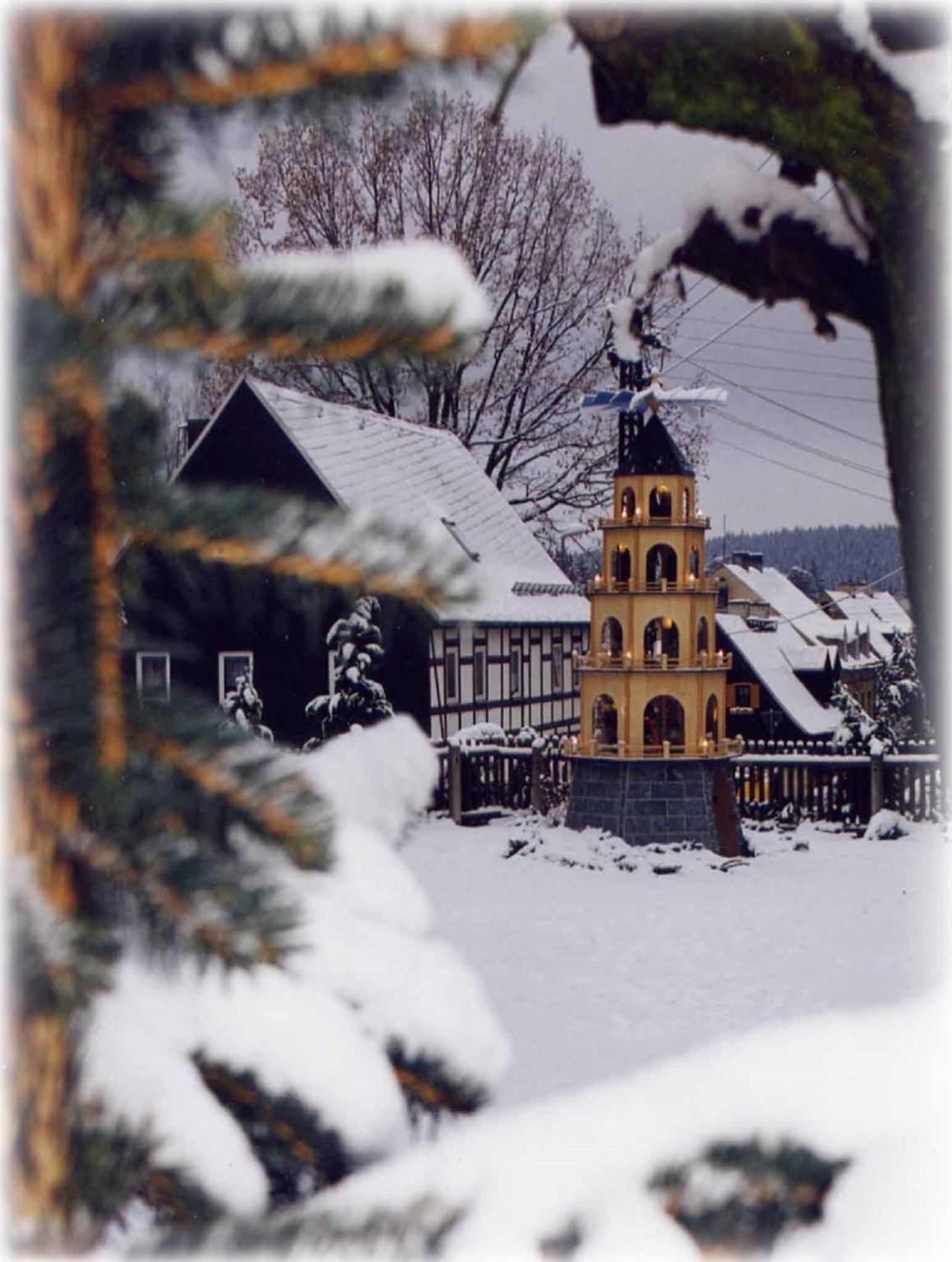 Photo 11