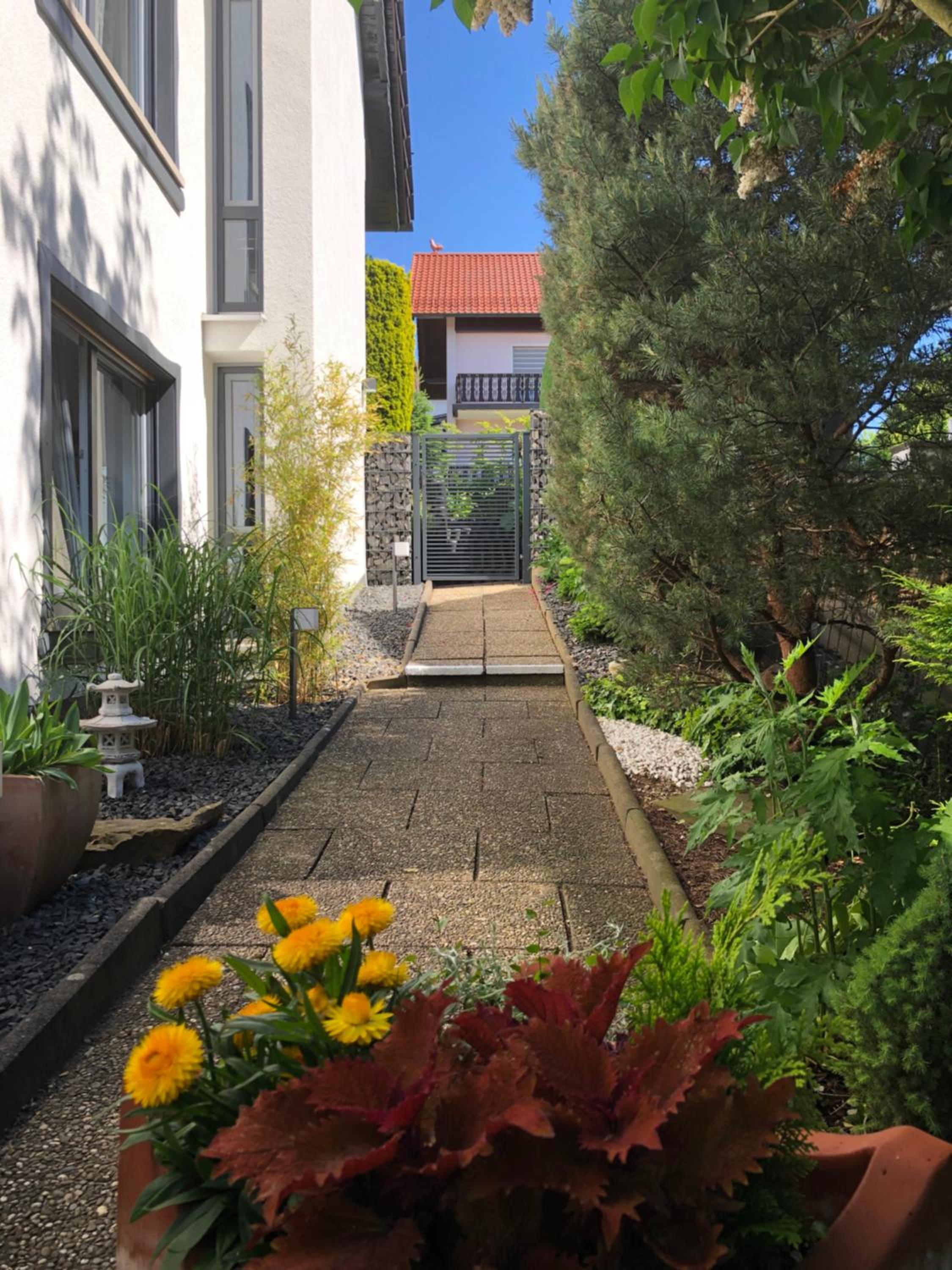 Photo 25
