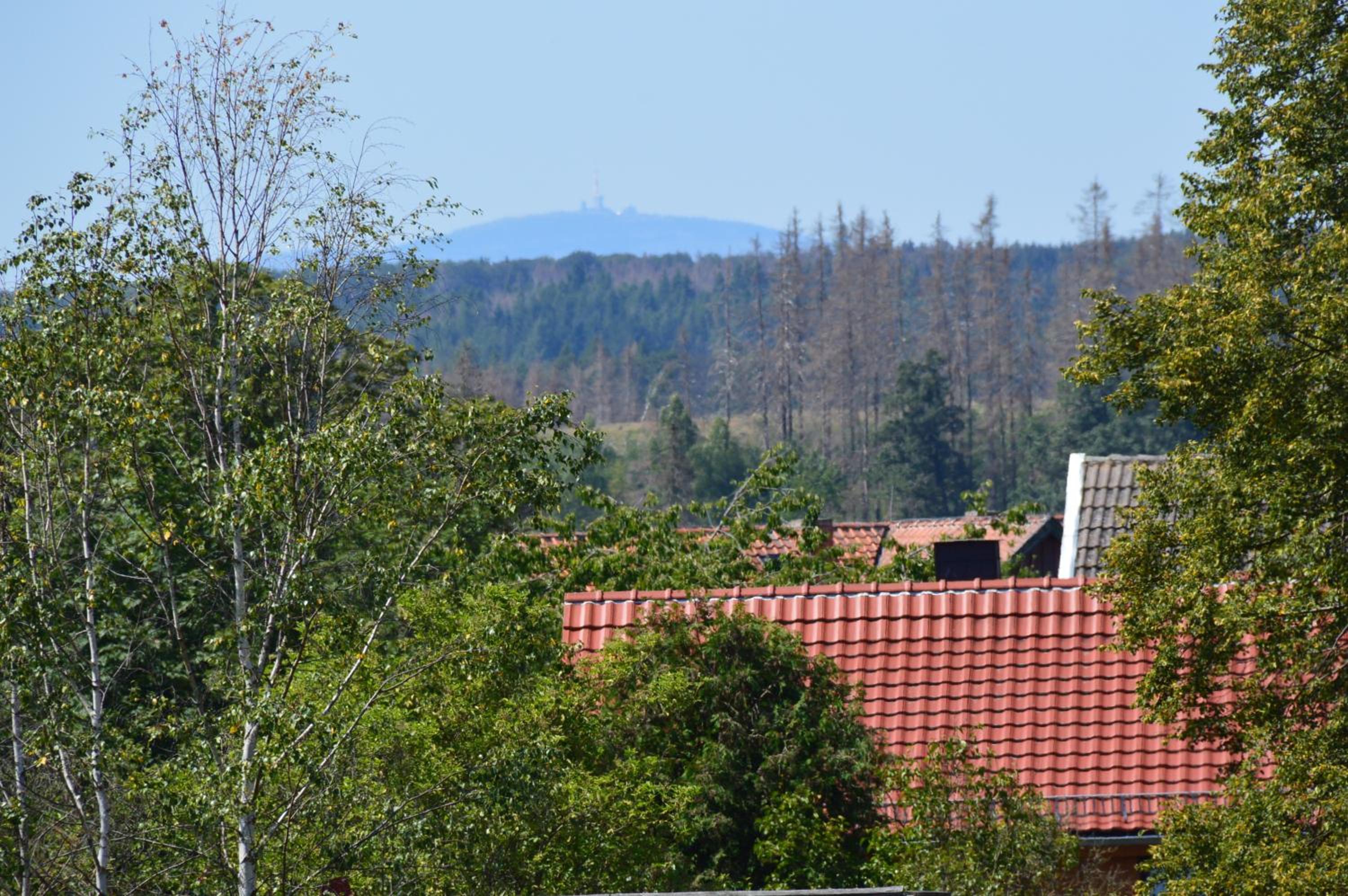 Haus Harzblick view 5