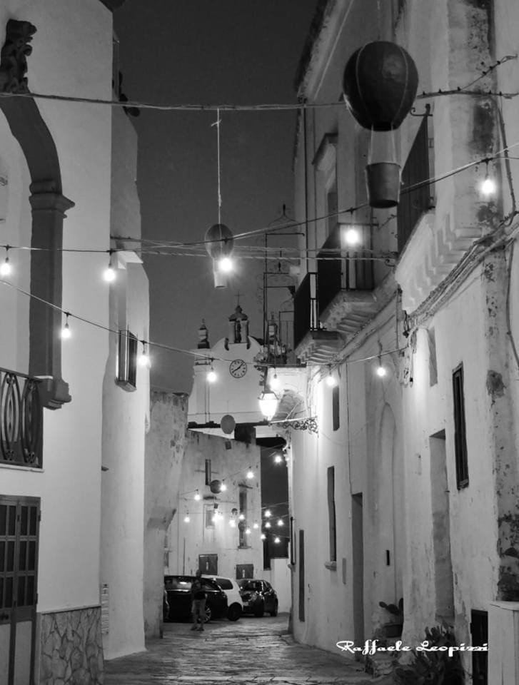 Photo 50
