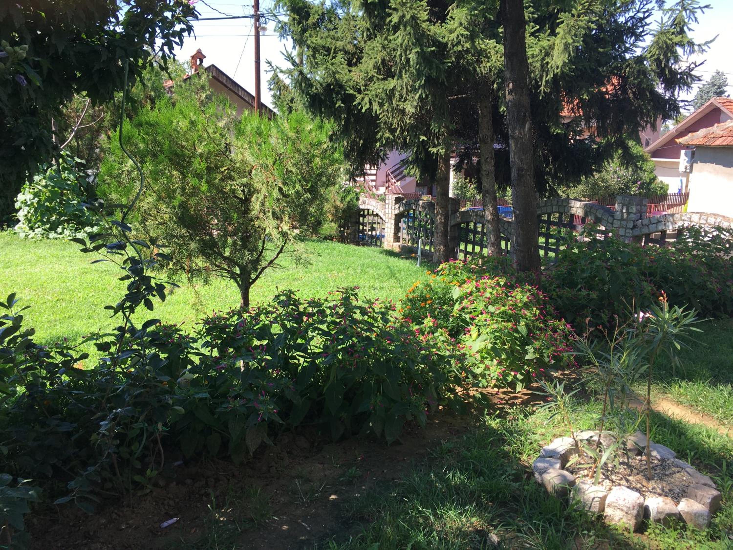 Photo 53