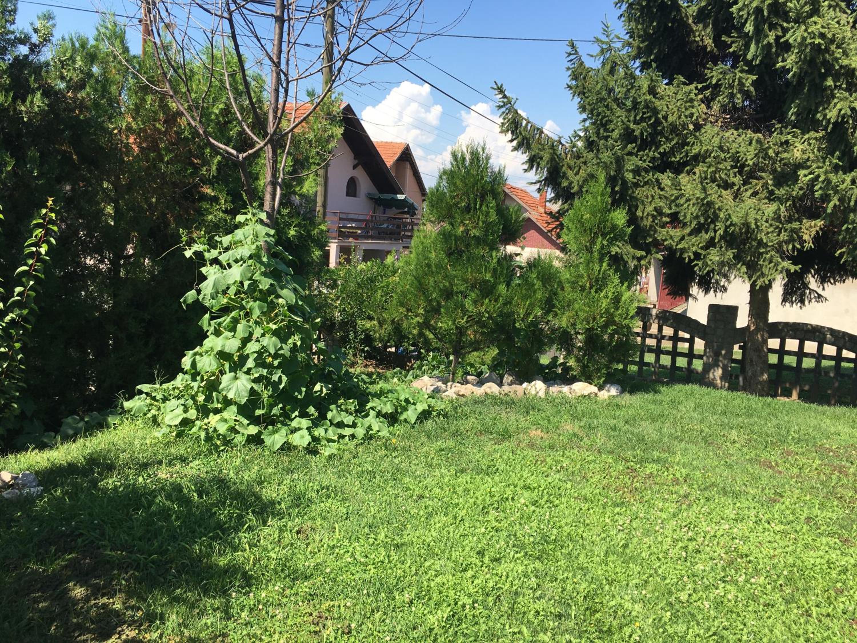 Photo 30