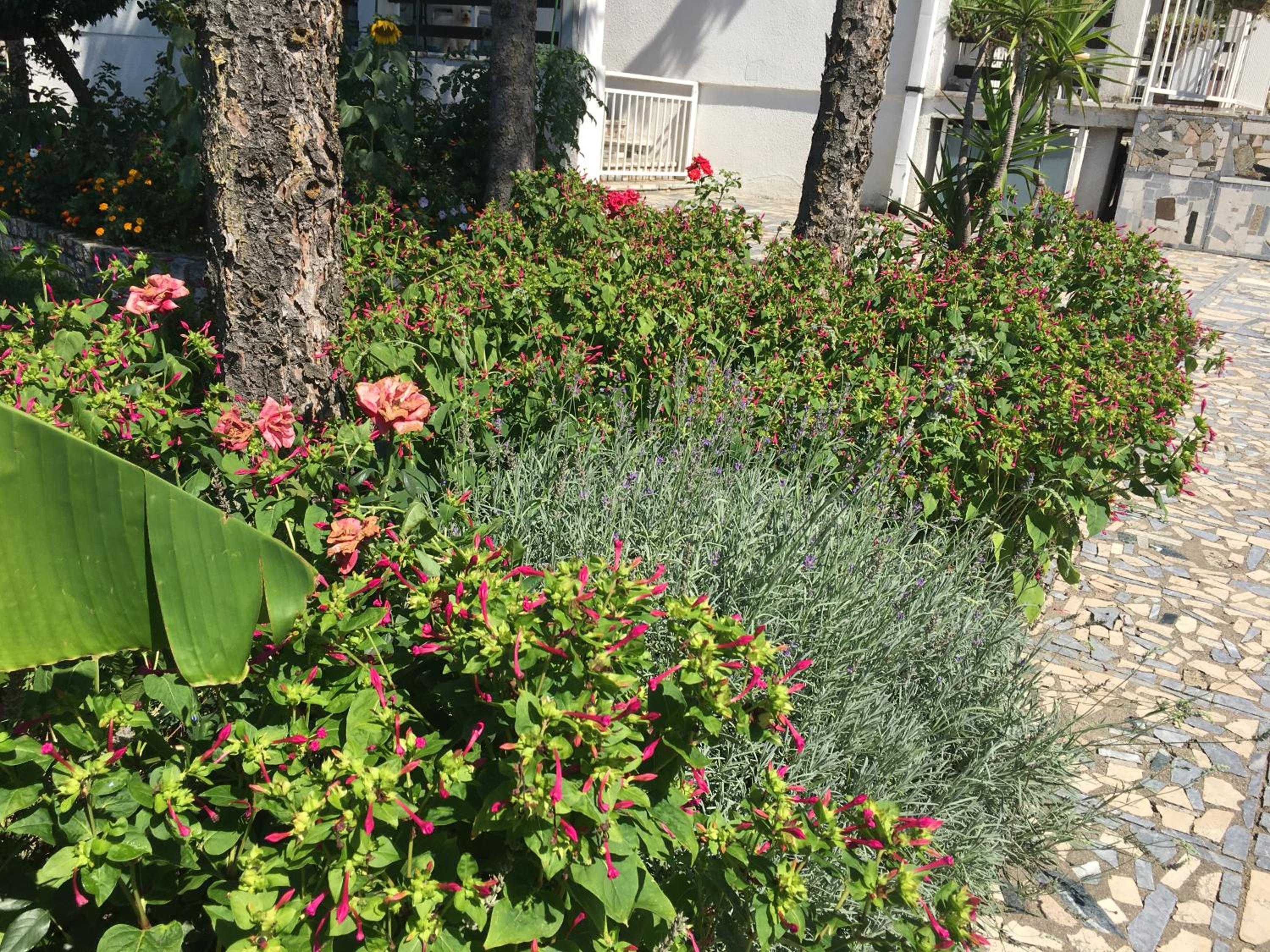 Photo 15