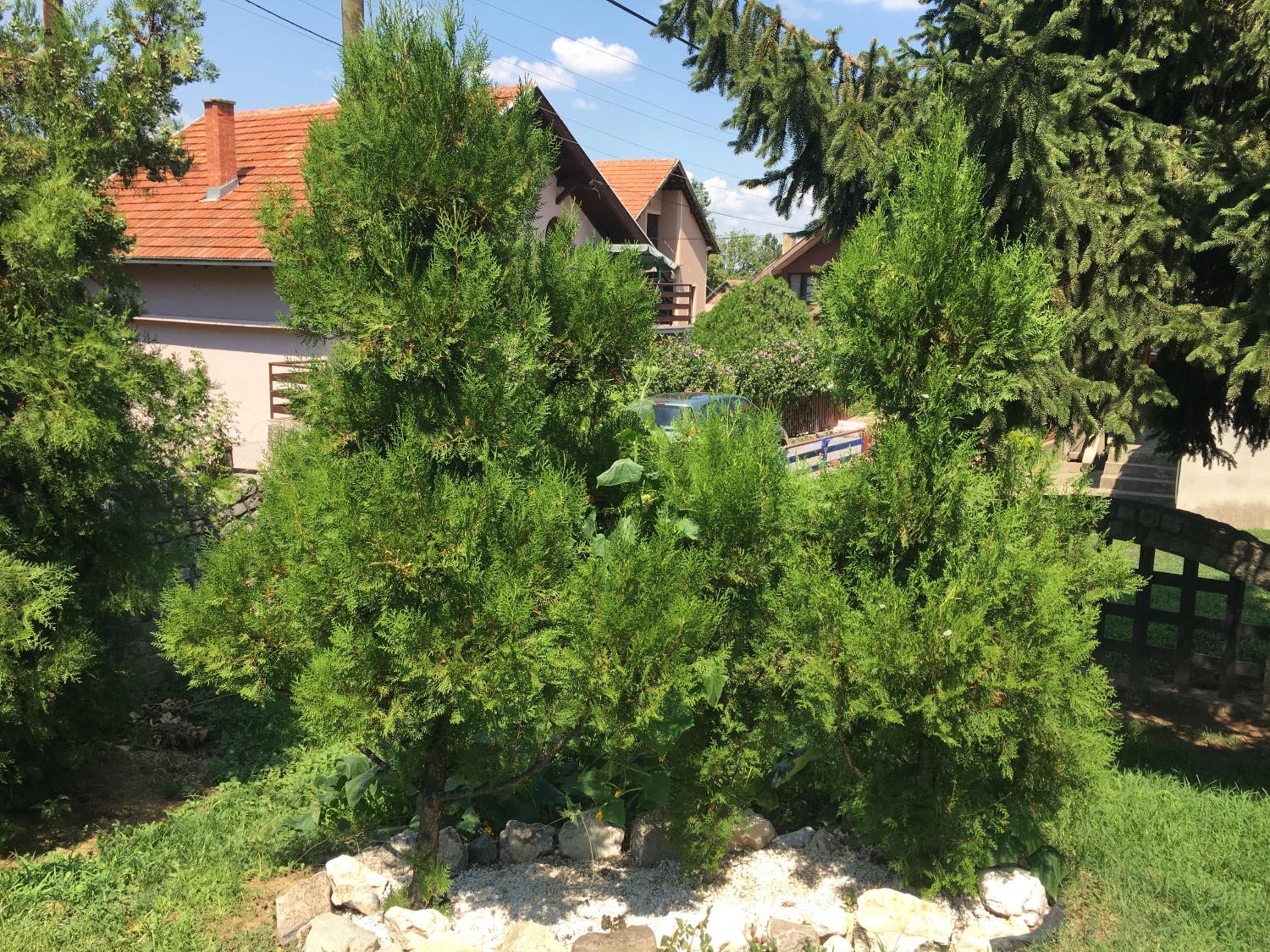 Photo 17