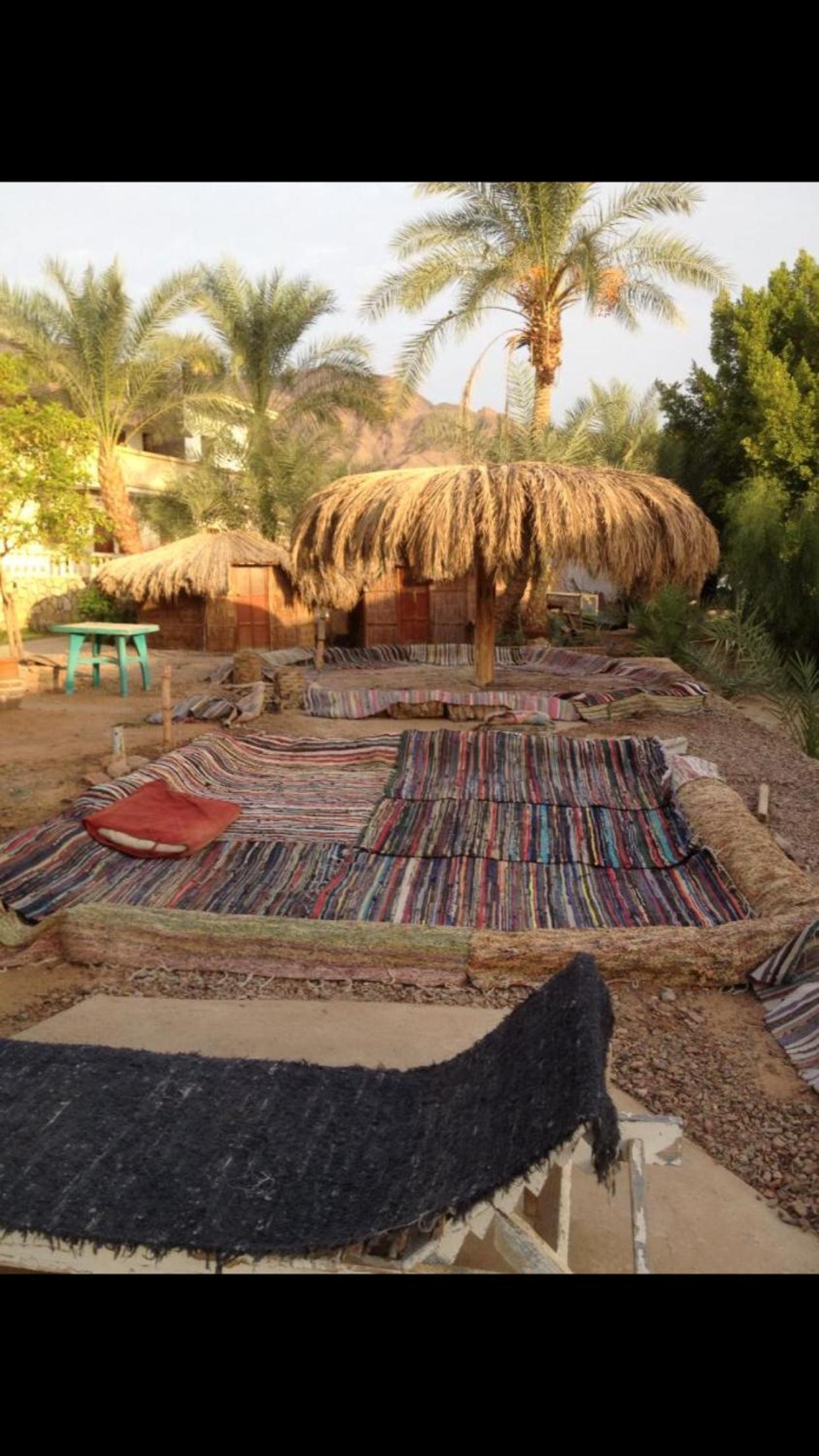 Elbadawy camp view 5