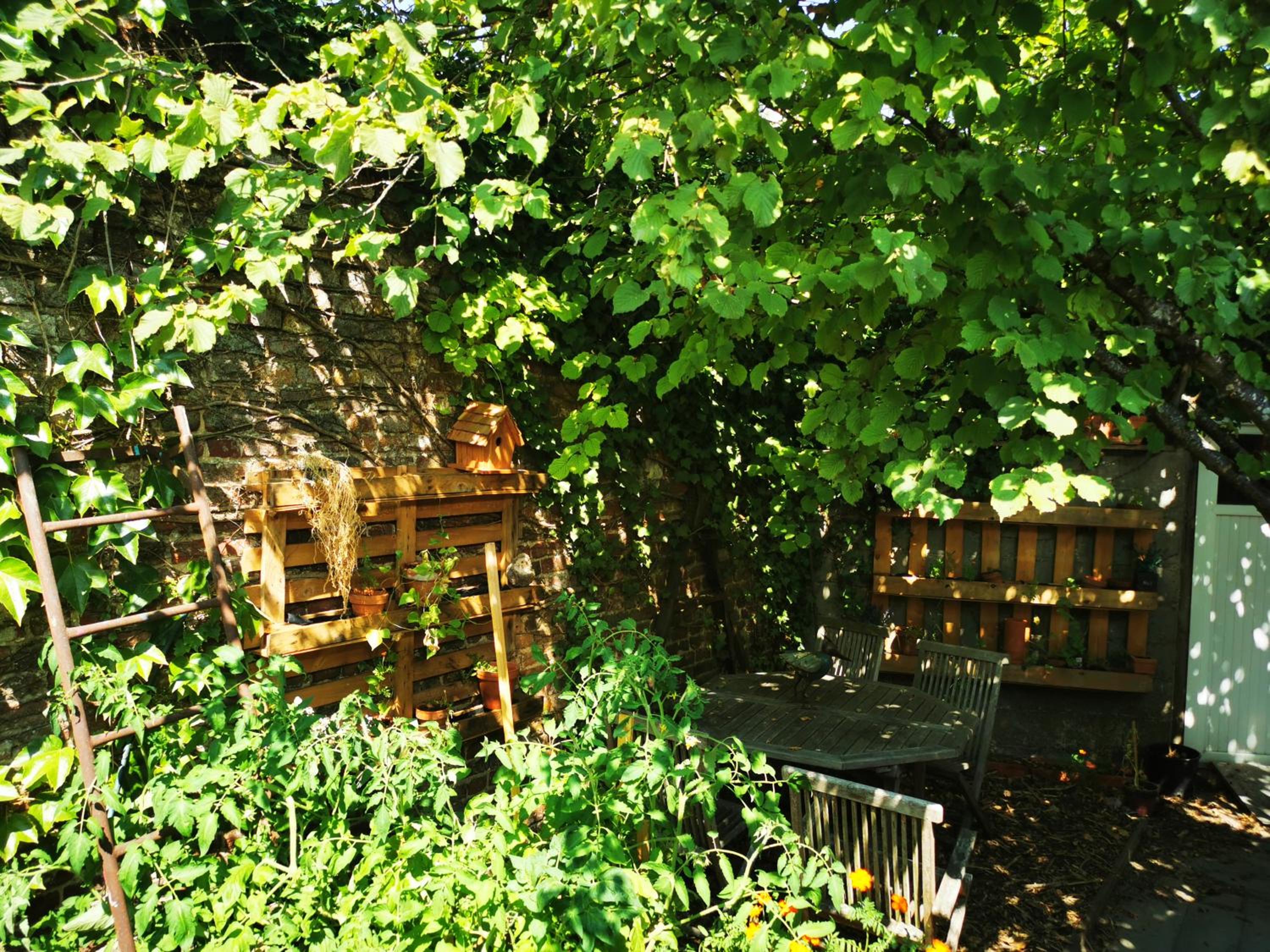 Photo 16