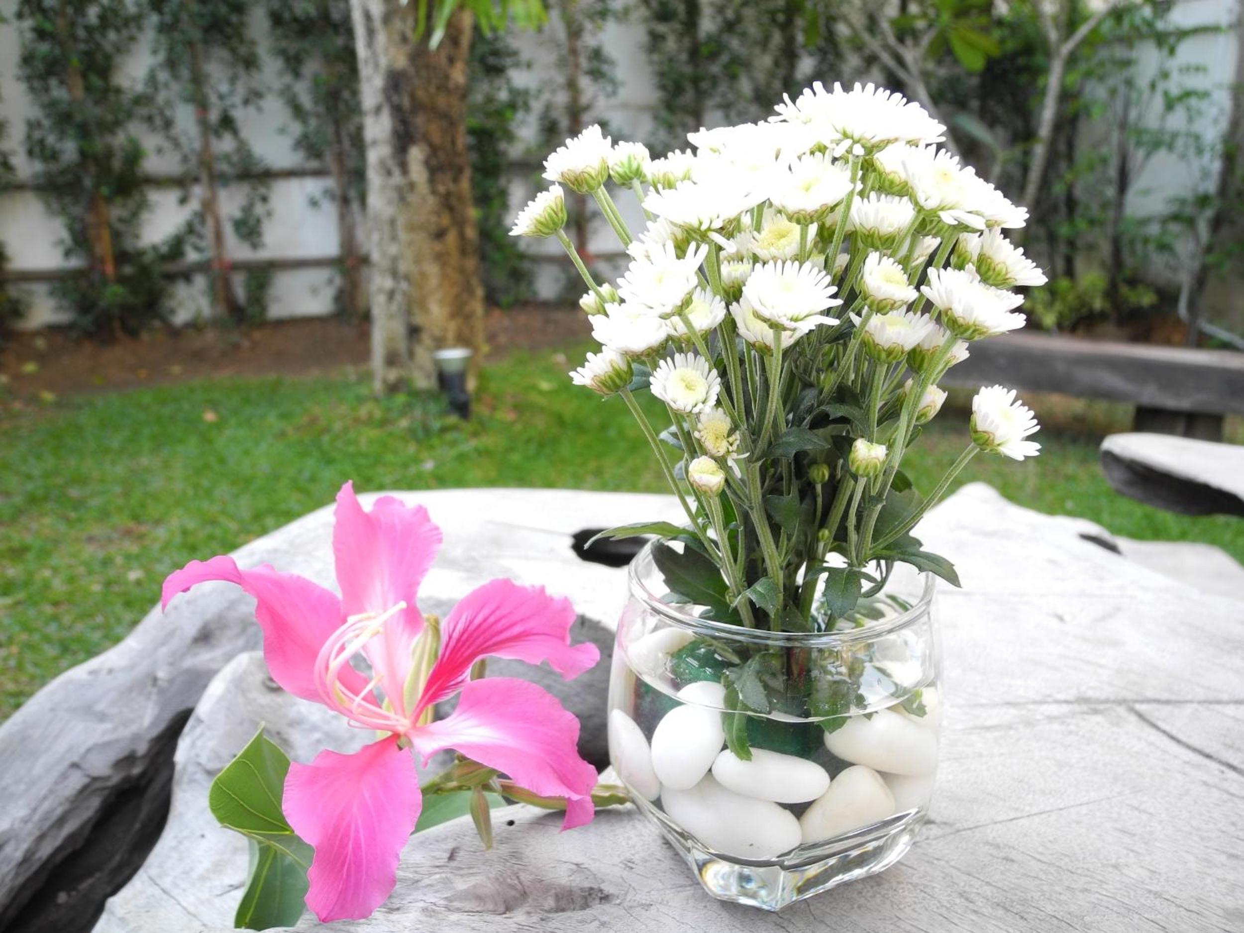 Green House Phuket