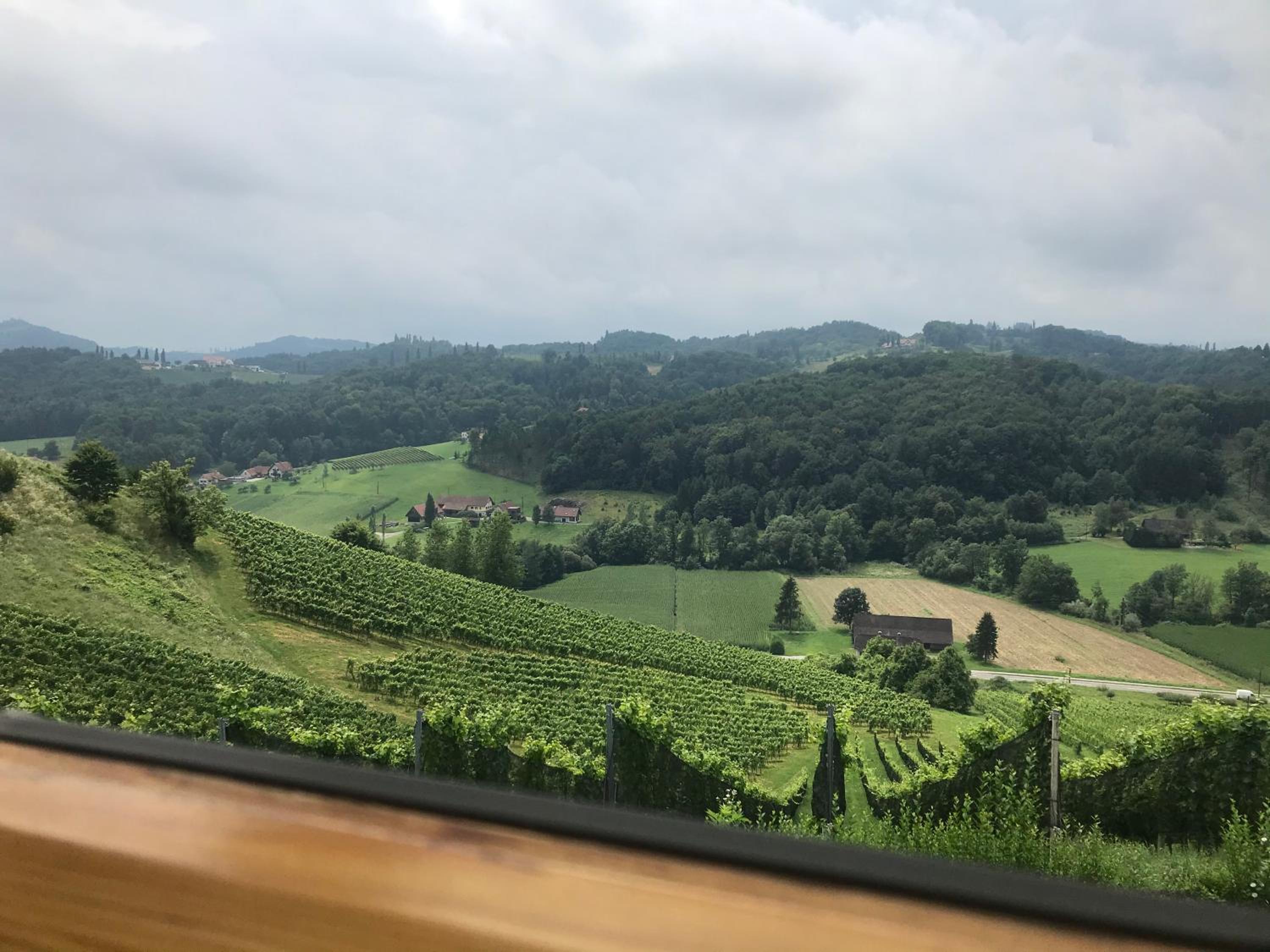 Kranach 5 - Wohnen beim Wein
