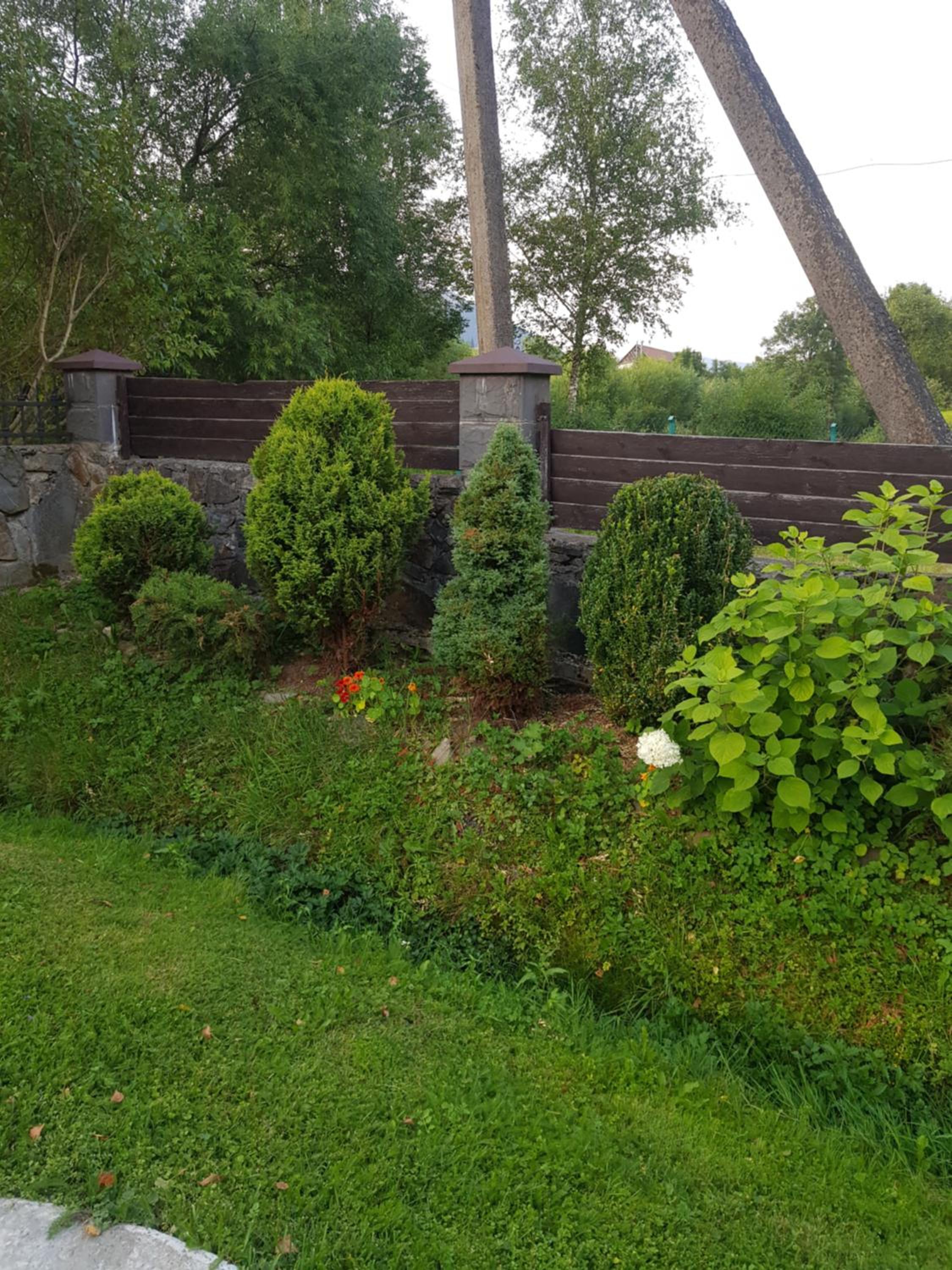 Photo 41