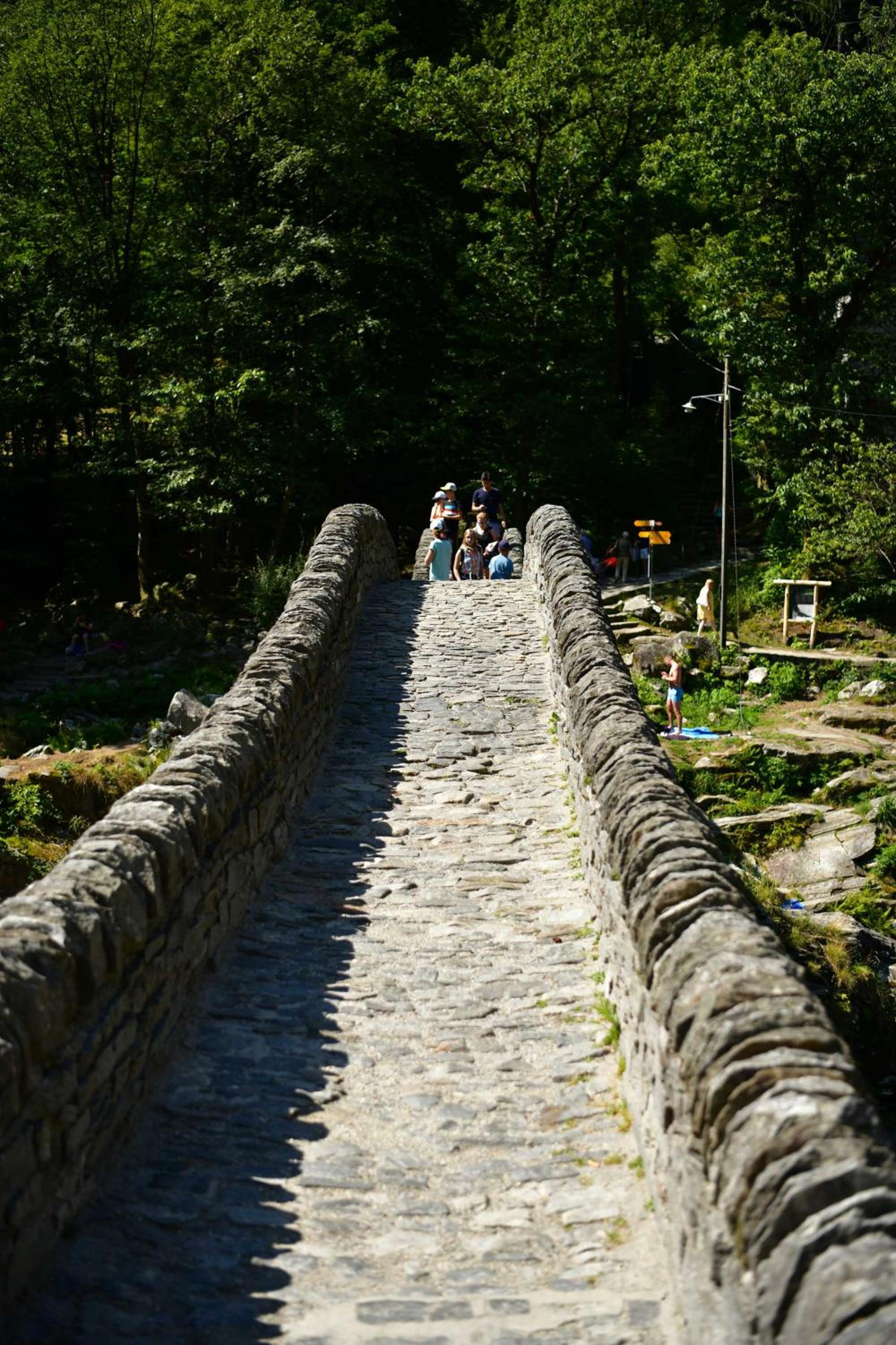 Photo 38
