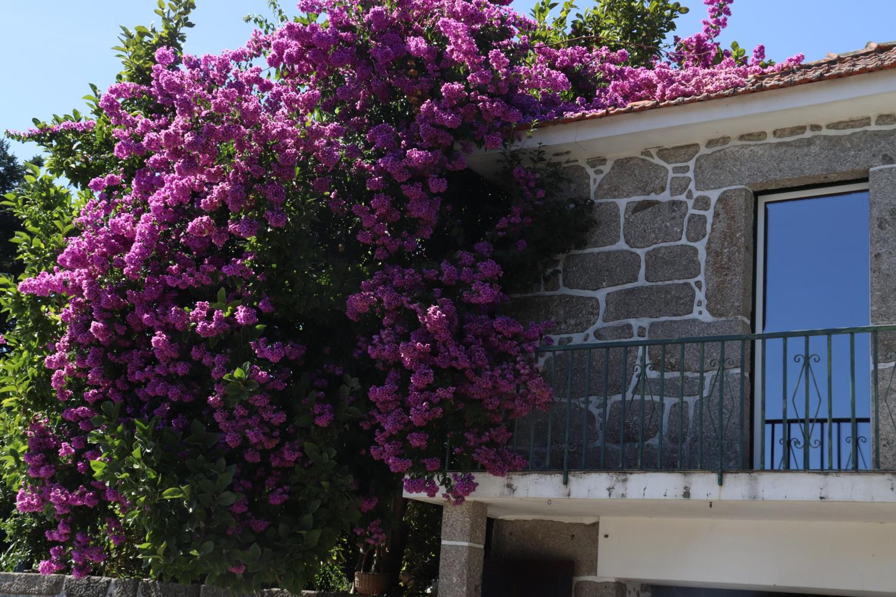 ICH Inveja Country House view 5