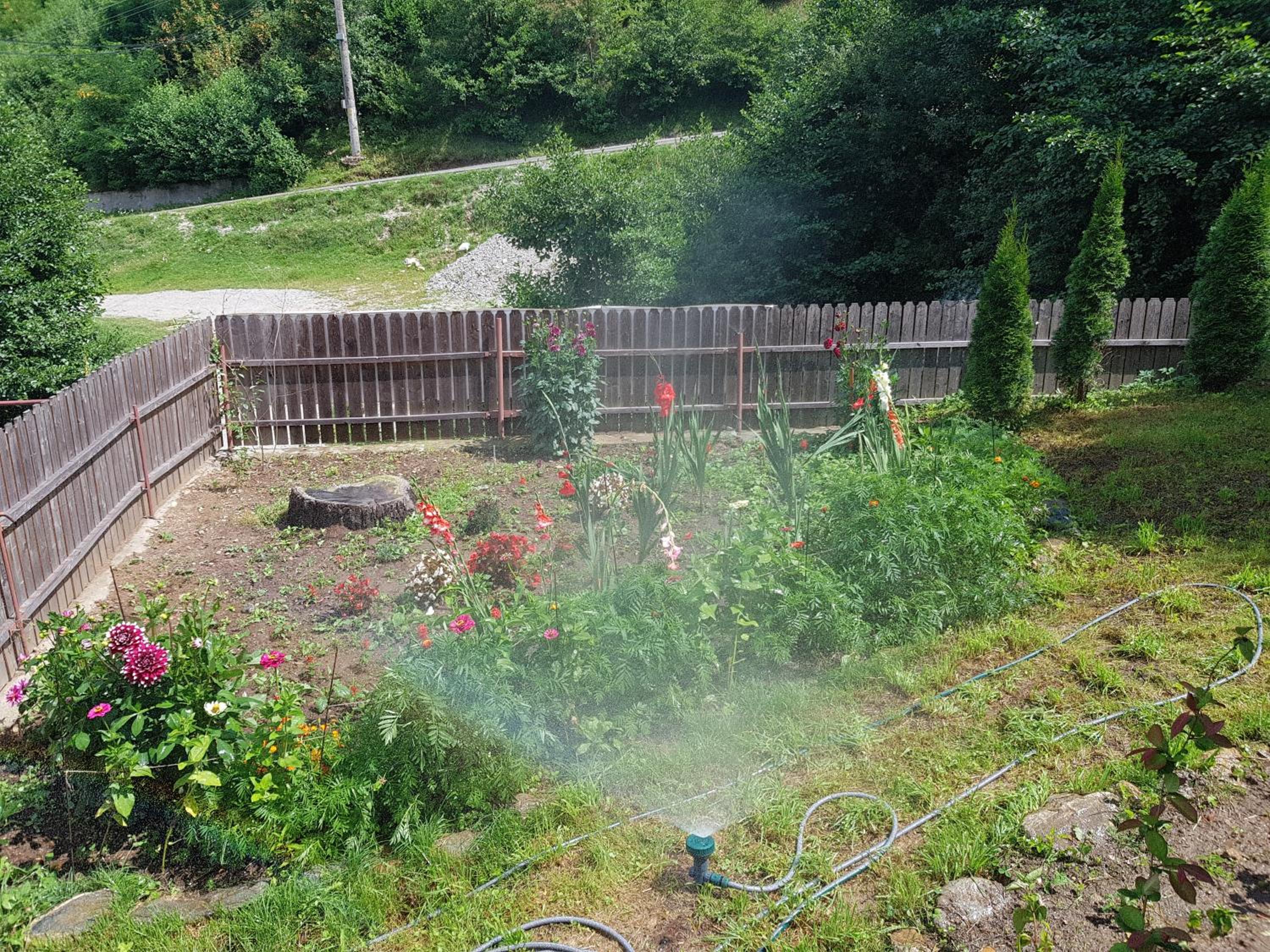Photo 38