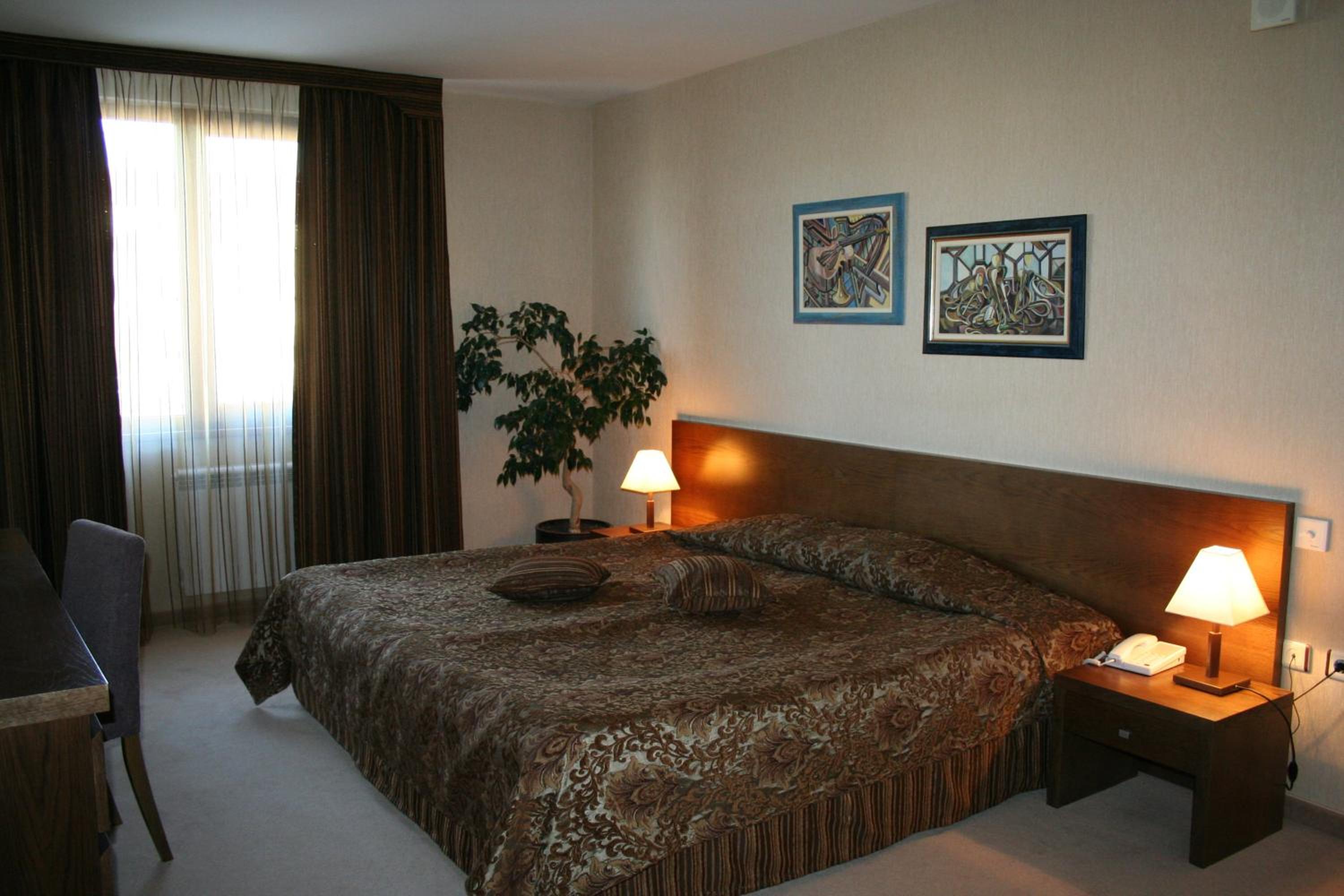 Bansko Vacations - Evelina Palace Hotel - Property Image 56