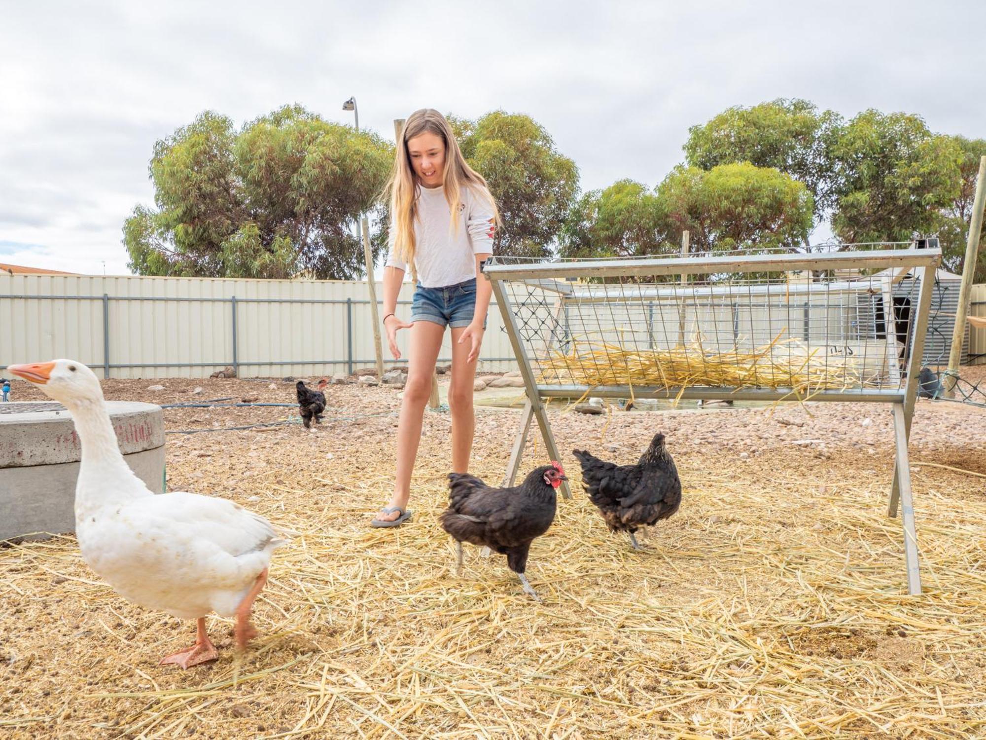 Wallaroo Holiday Park