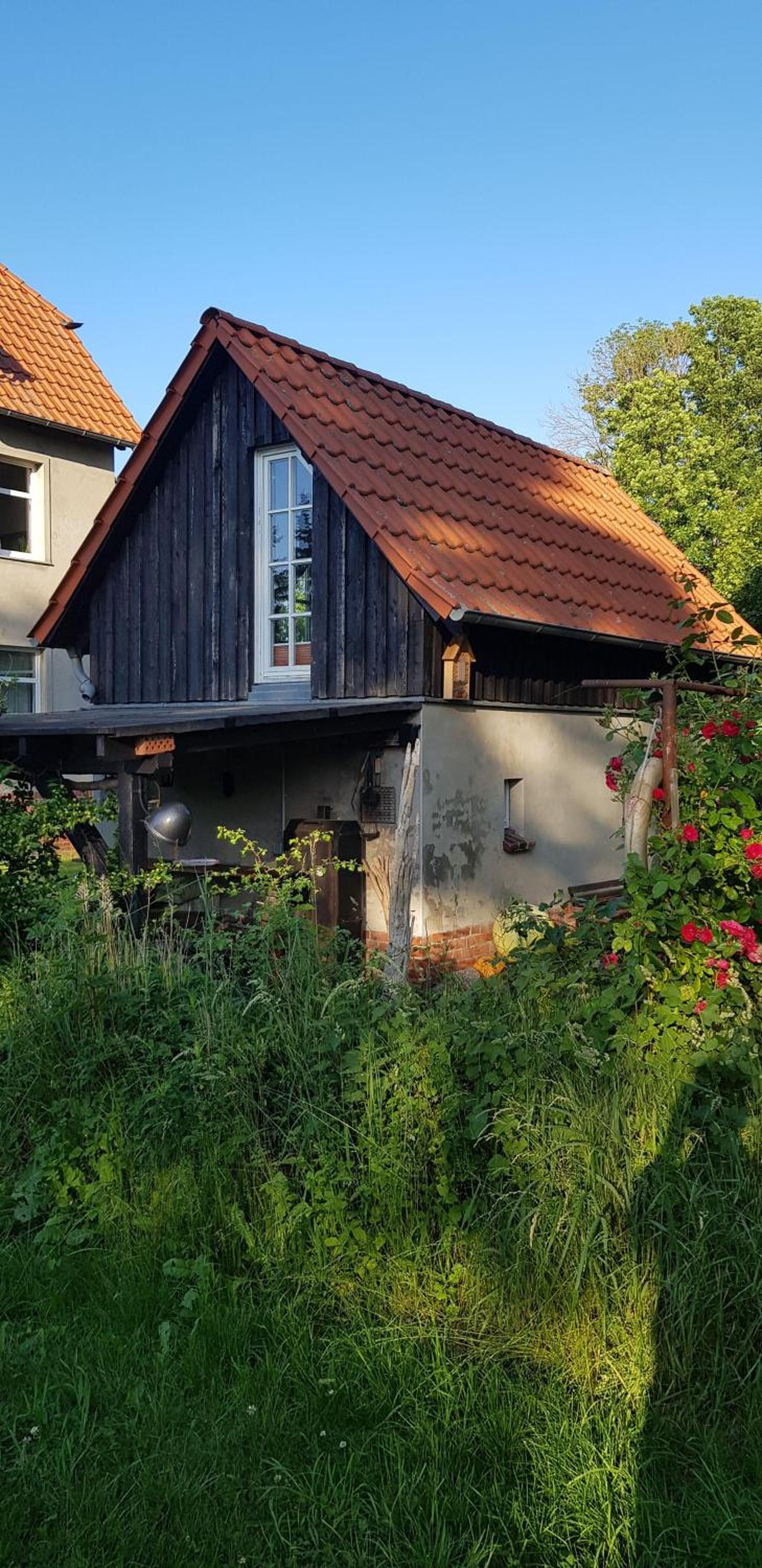 Niedliches-kleines-Ferienhaeuschen-auf-Ruegen-nahe-Stralsund