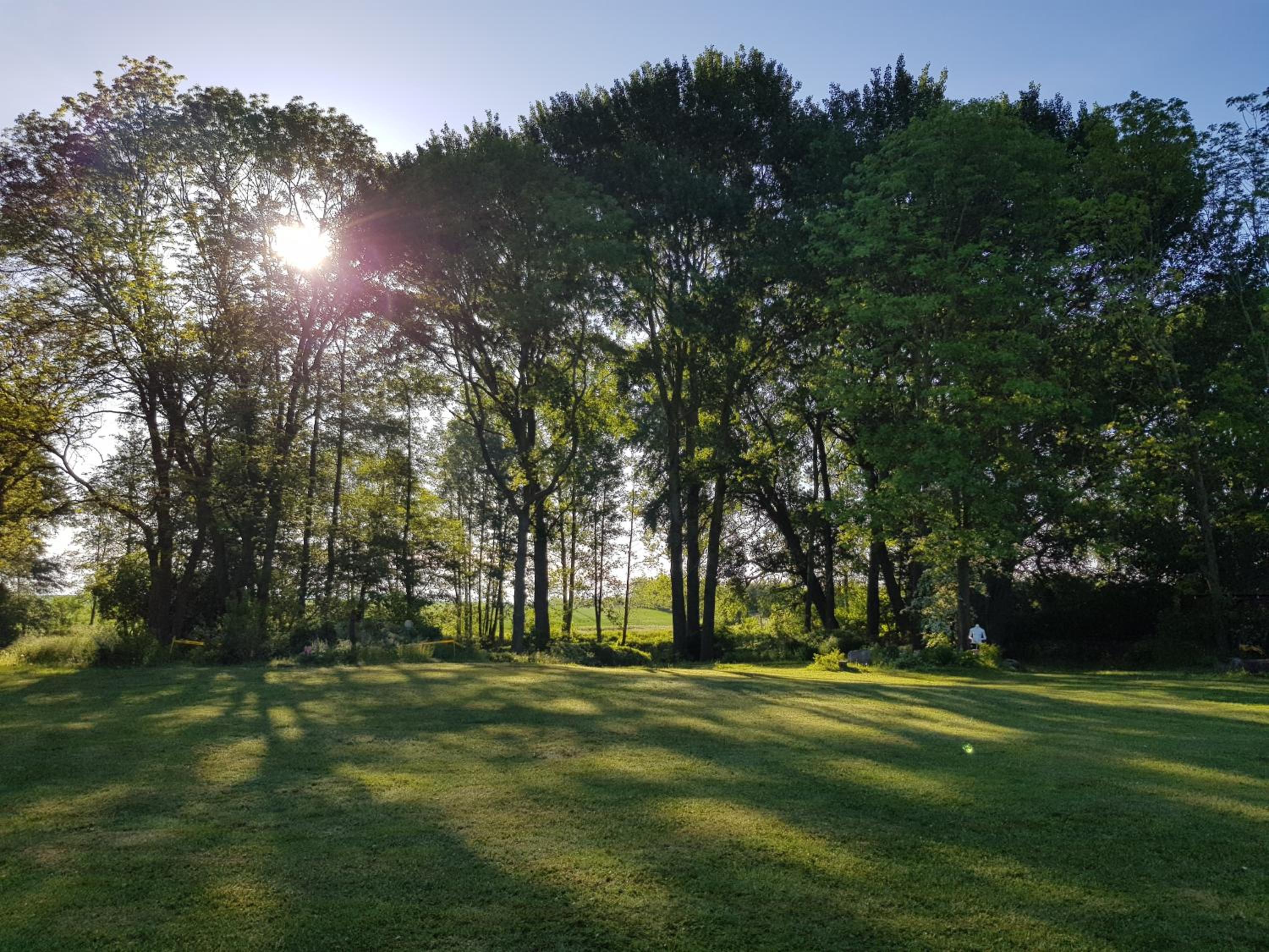 Villa Wiese