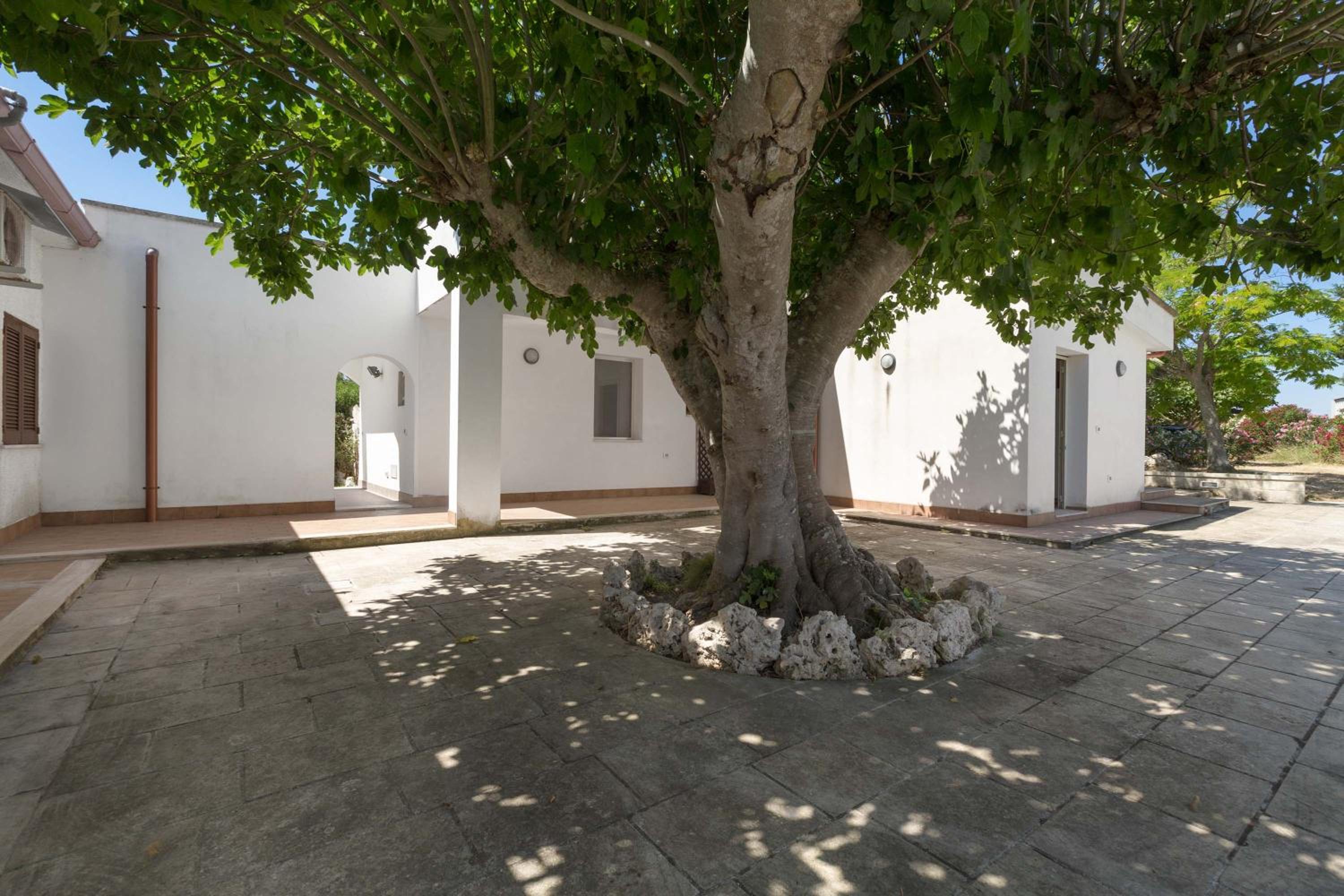 SoleDelSud by BarbarHouse photo 4