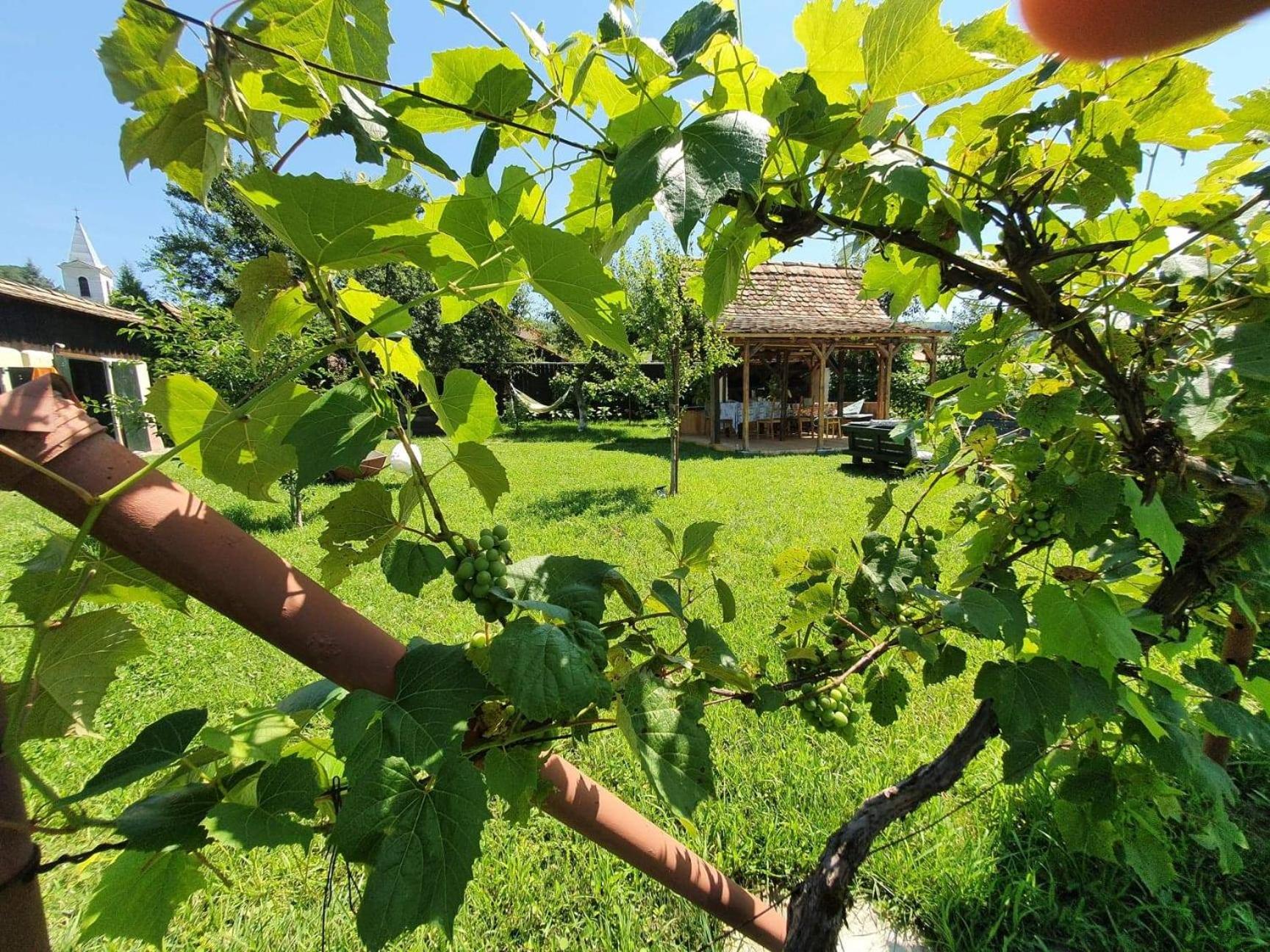 Valchid Guest House view 4