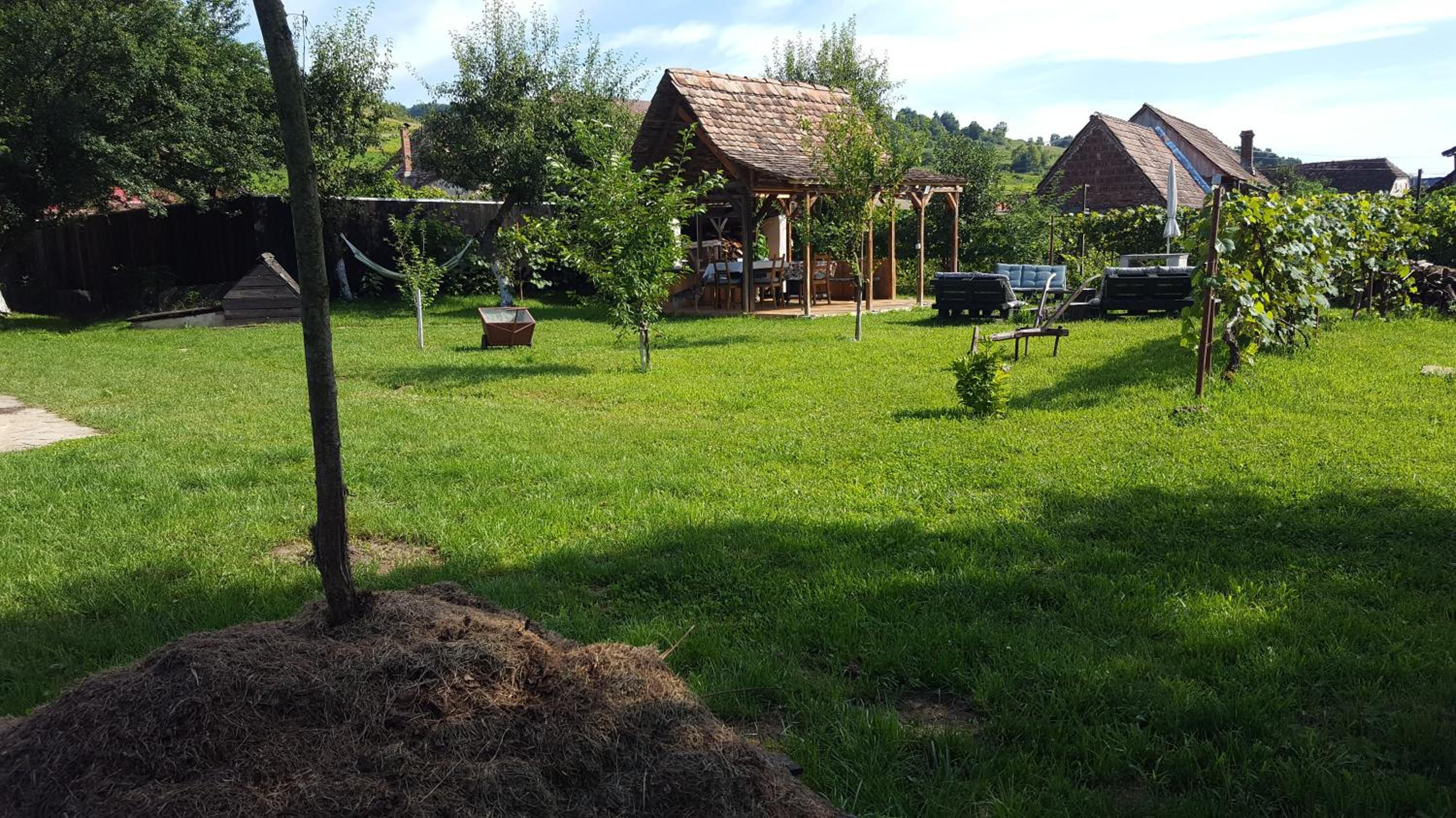 Photo 18