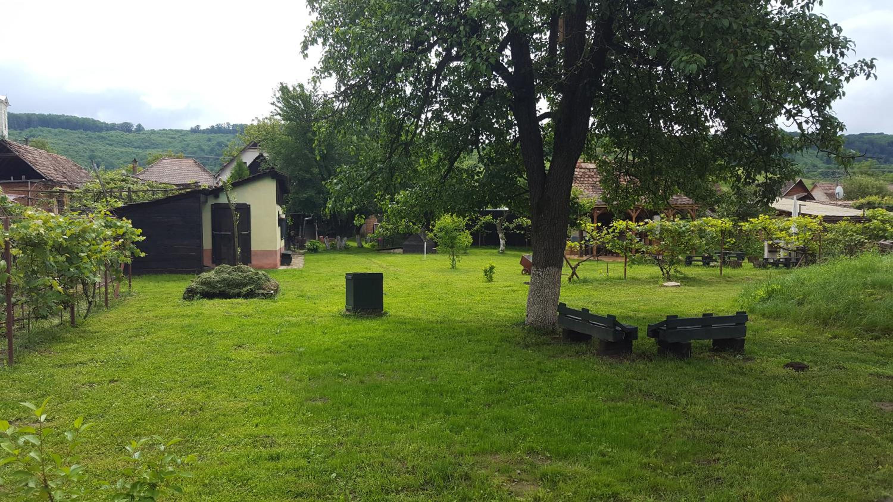 Photo 27