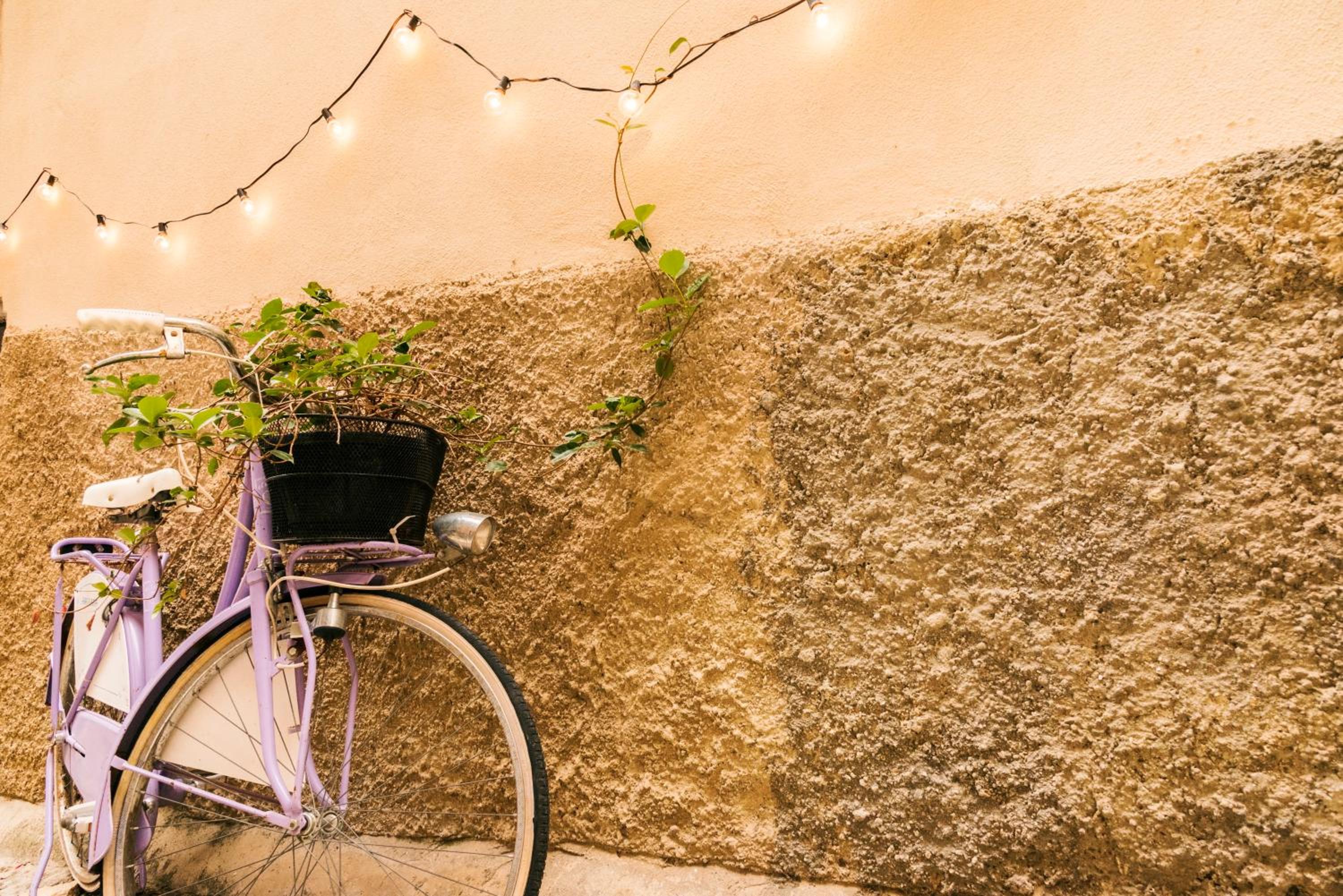 B&B Il Lentisco
