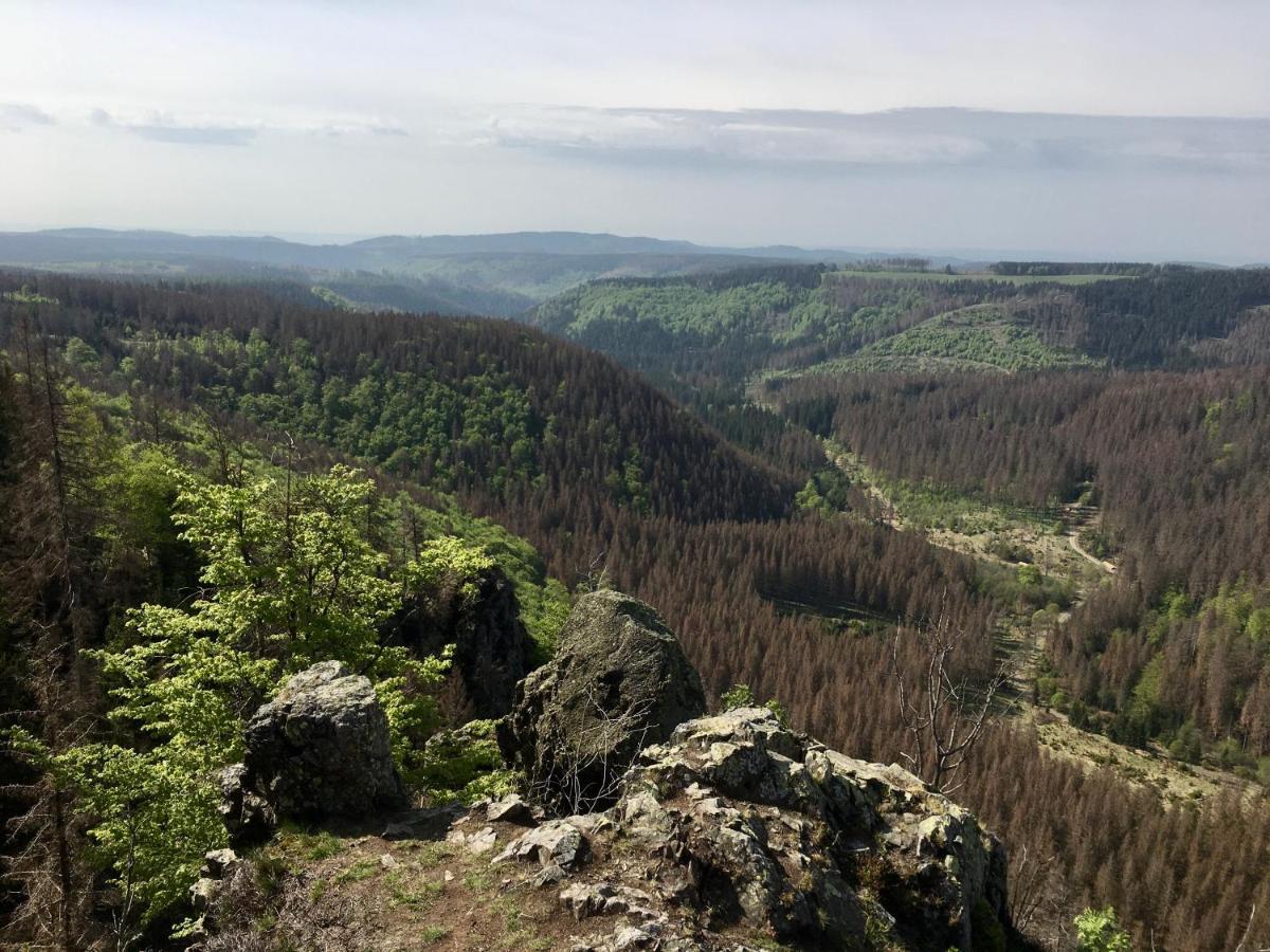 Bergwelt Braunlage - Property Image 9