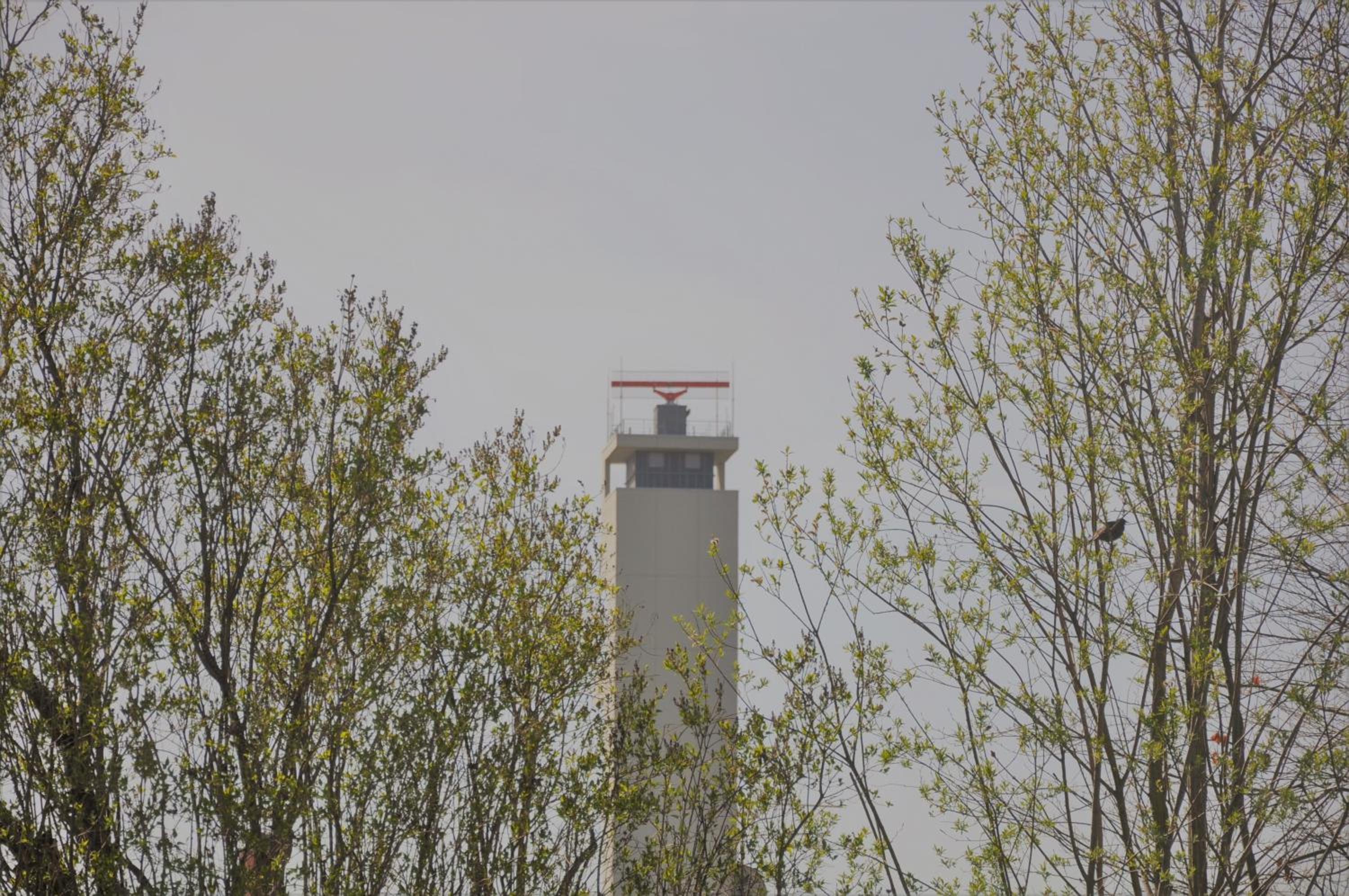 GardenOasisBerlinAirport