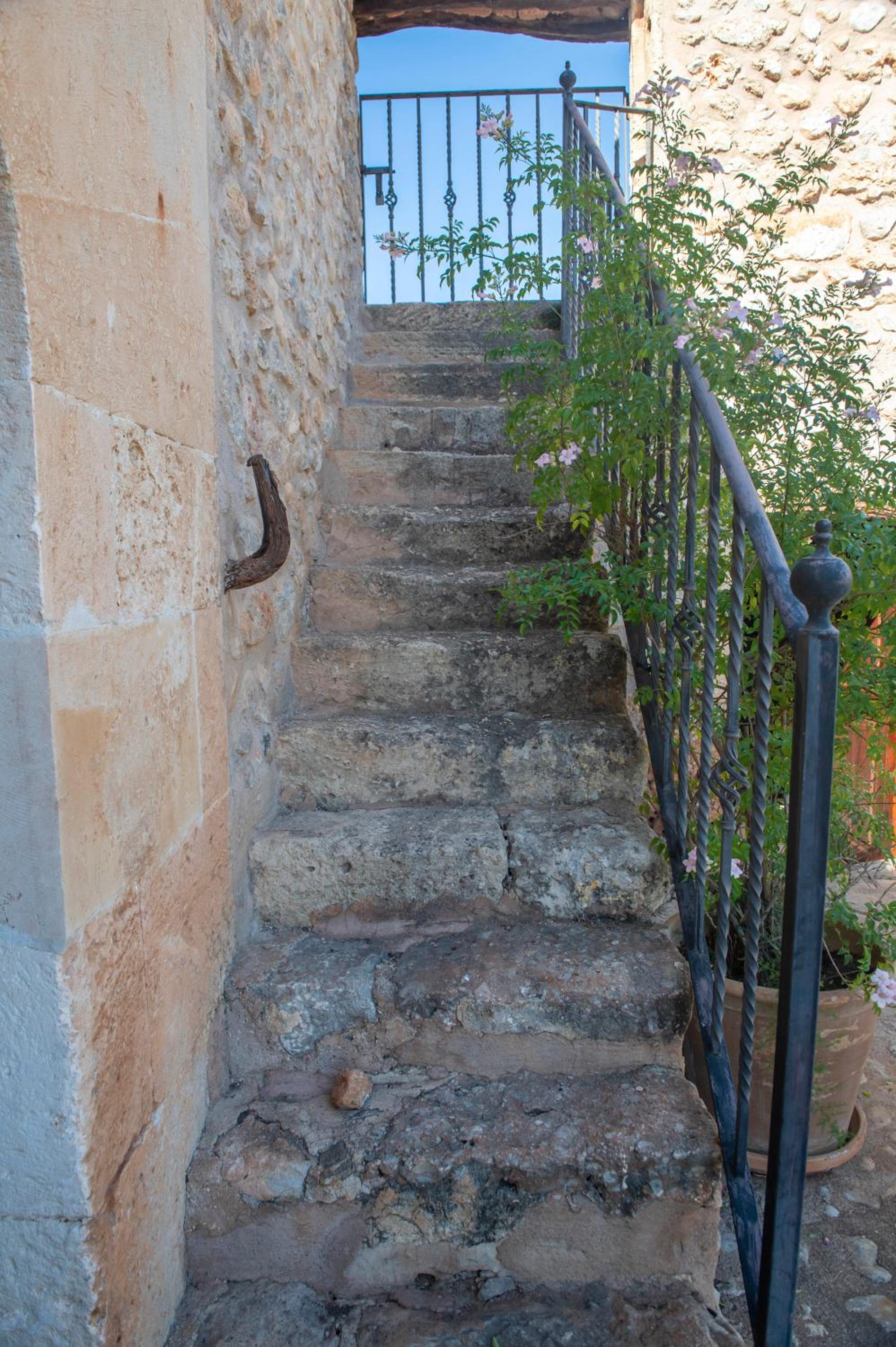 Finca Ses planes