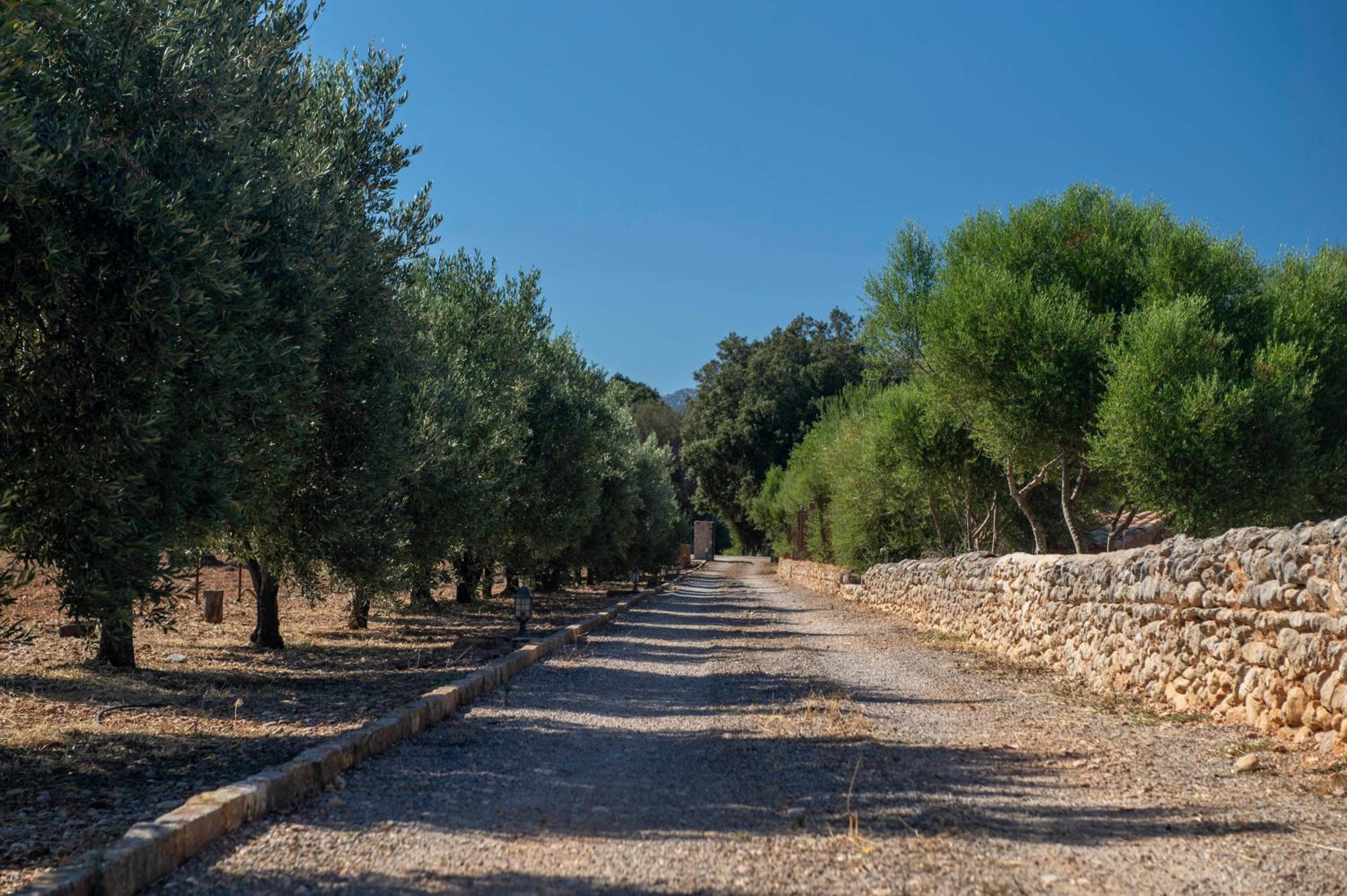 Finca Ses planes