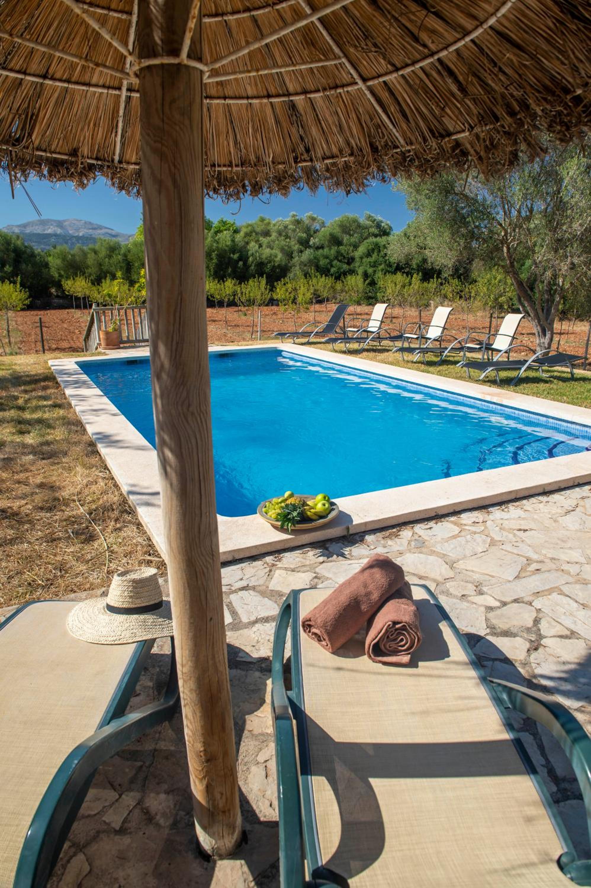 Finca Ses planes
