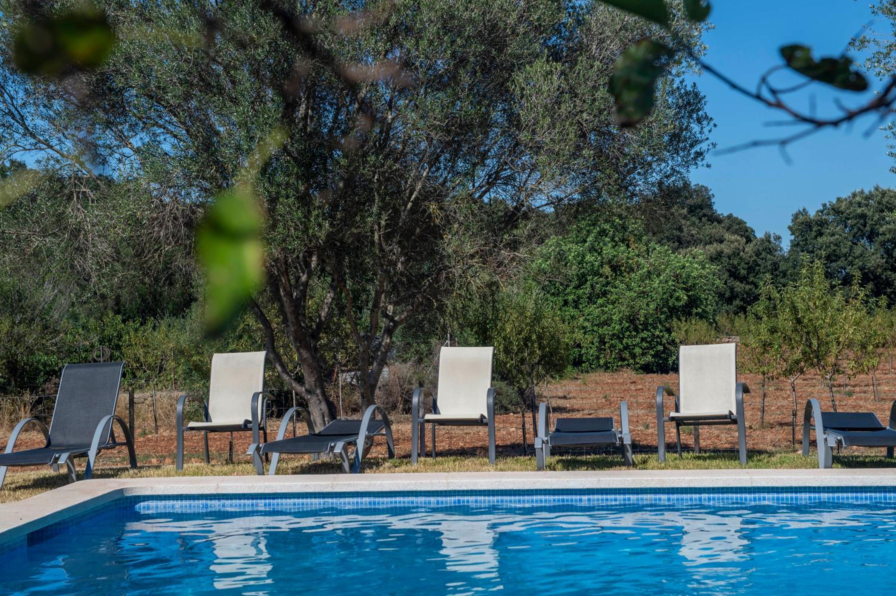 Finca Ses planes