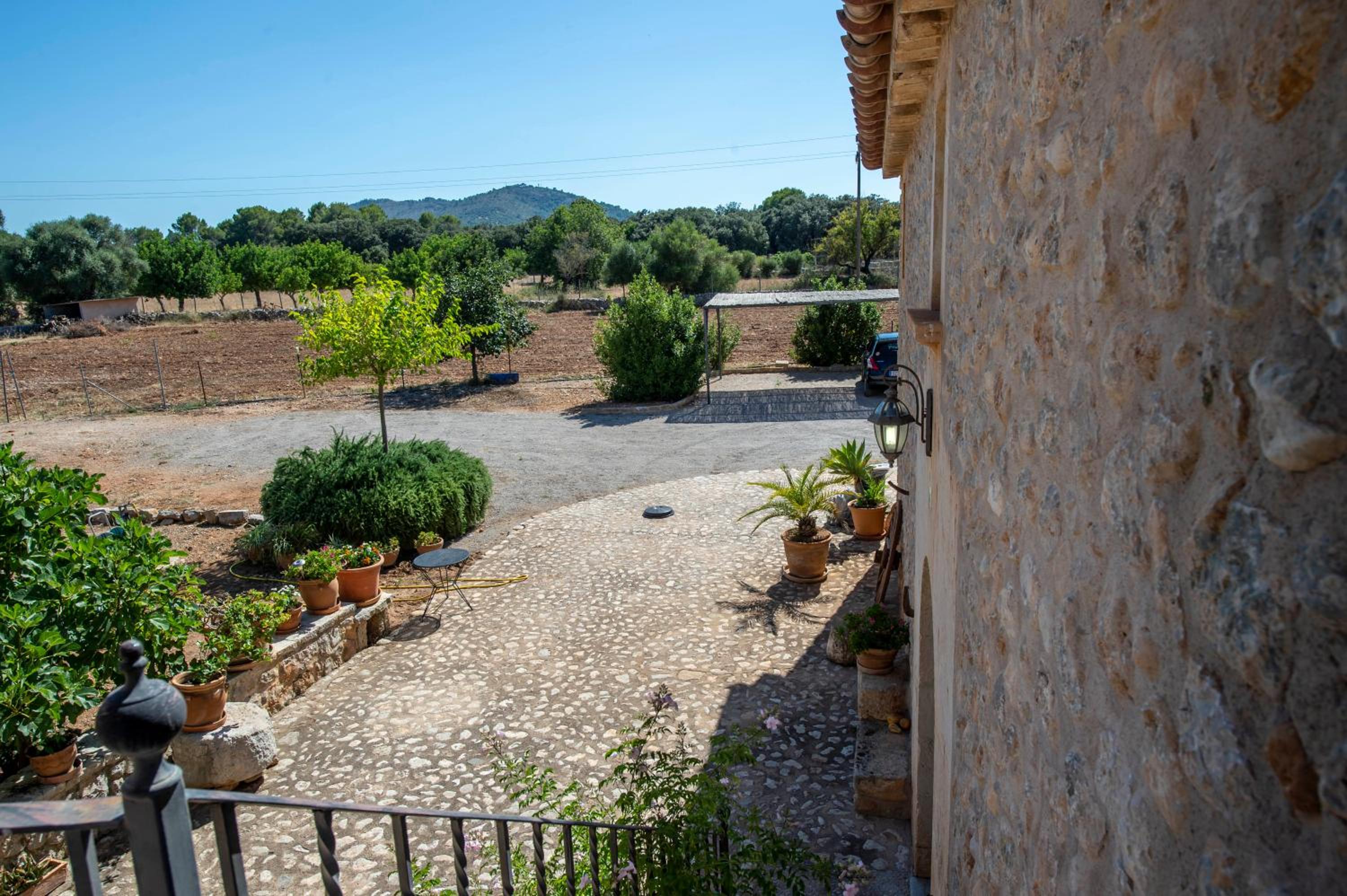 Finca Ses planes