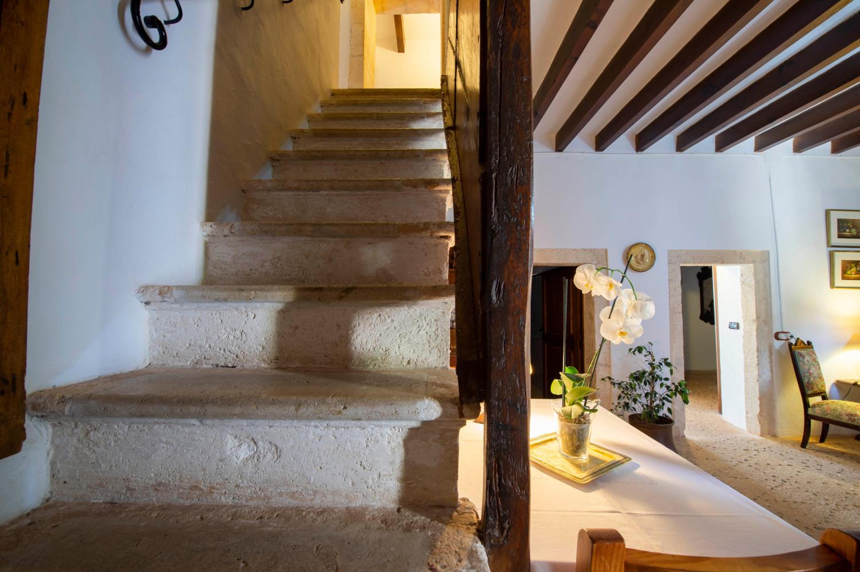 Finca Ses planes