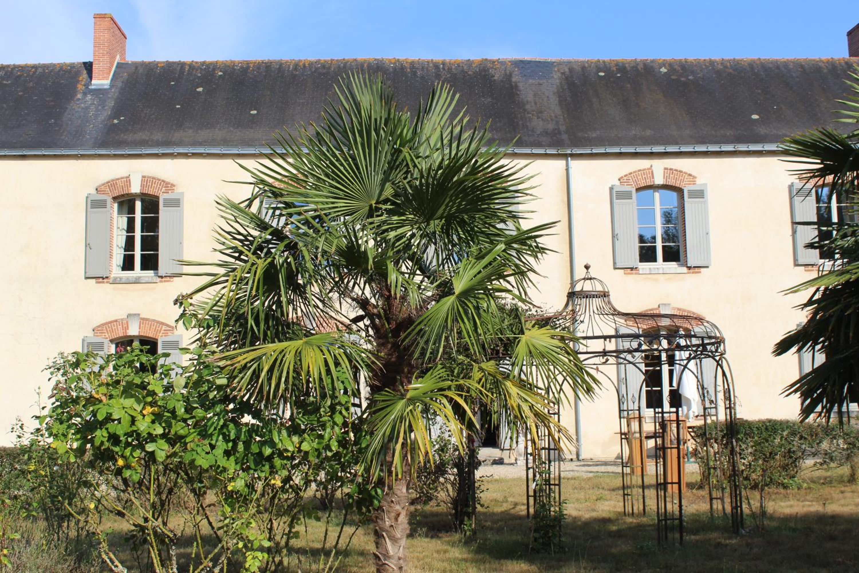 Photo 13