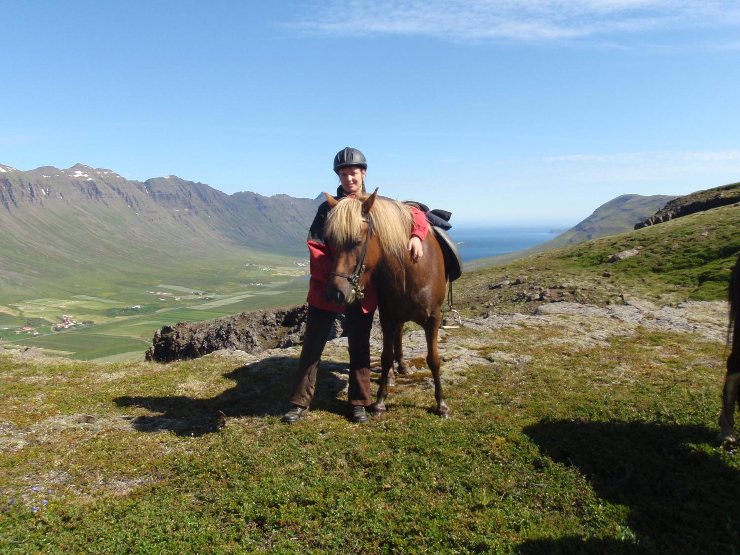 Skorrahestar