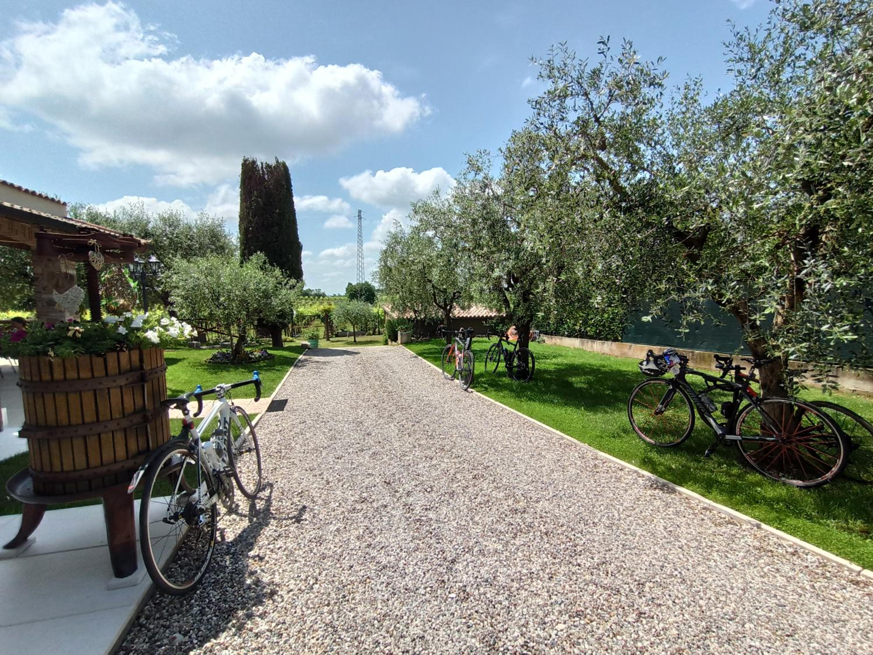 Le Zampolle B & B view 2