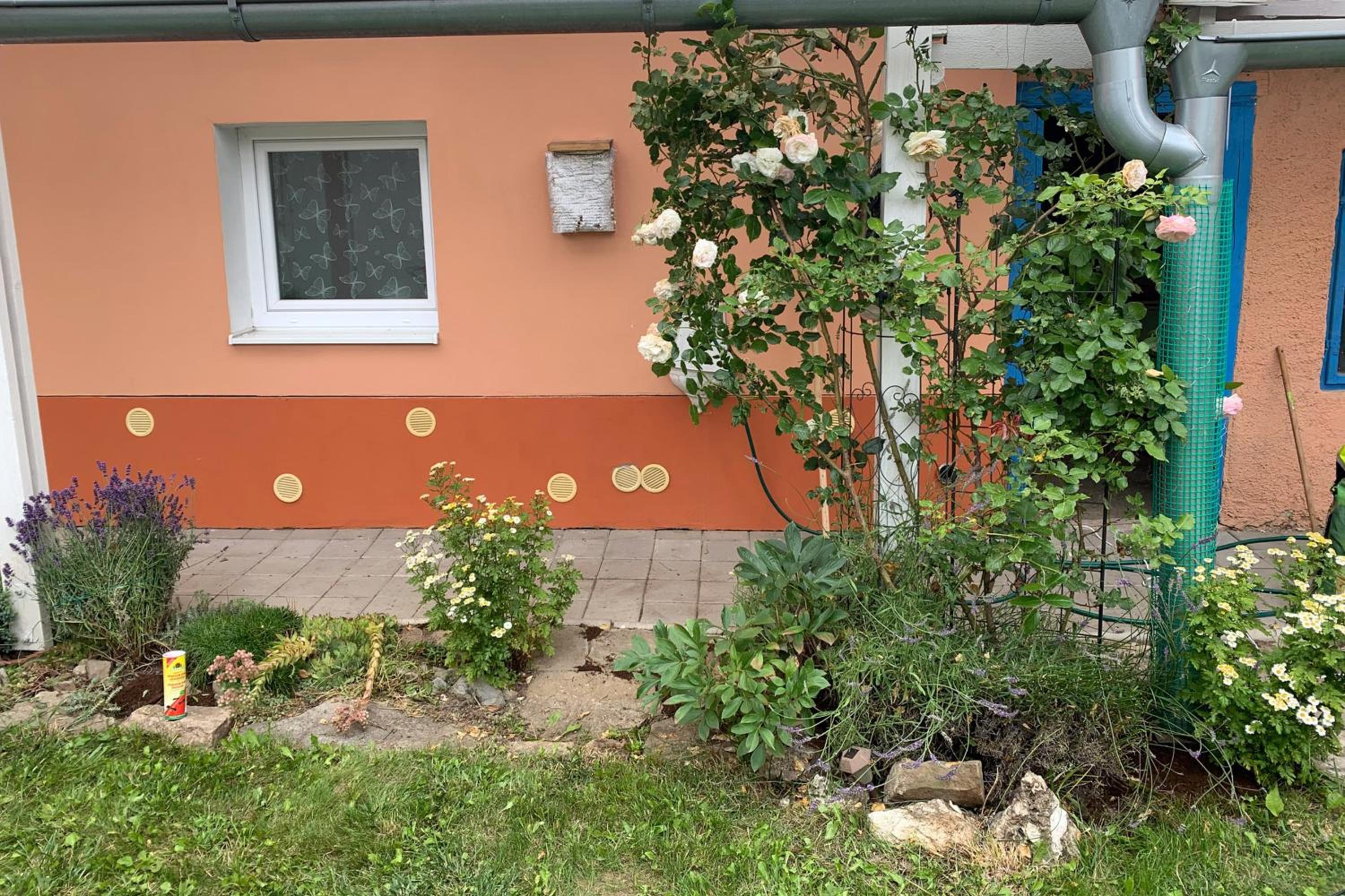 Photo 27