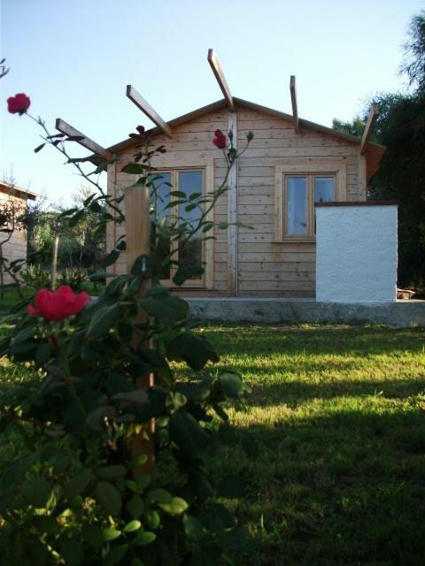 Photo 30