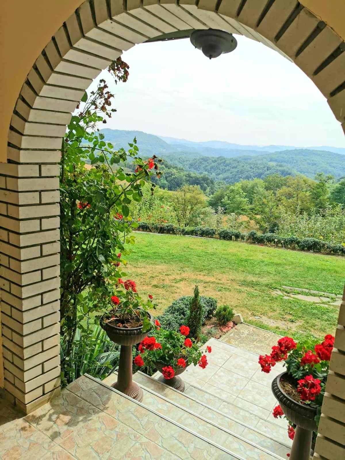 Domaćinstvo Sinđelić view 5