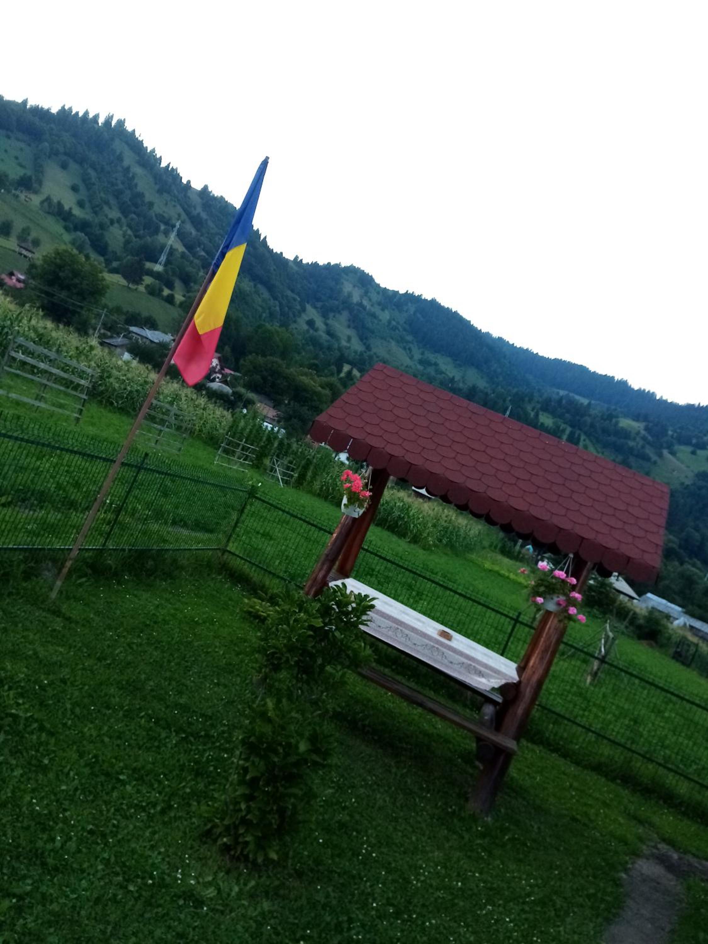 Photo 47
