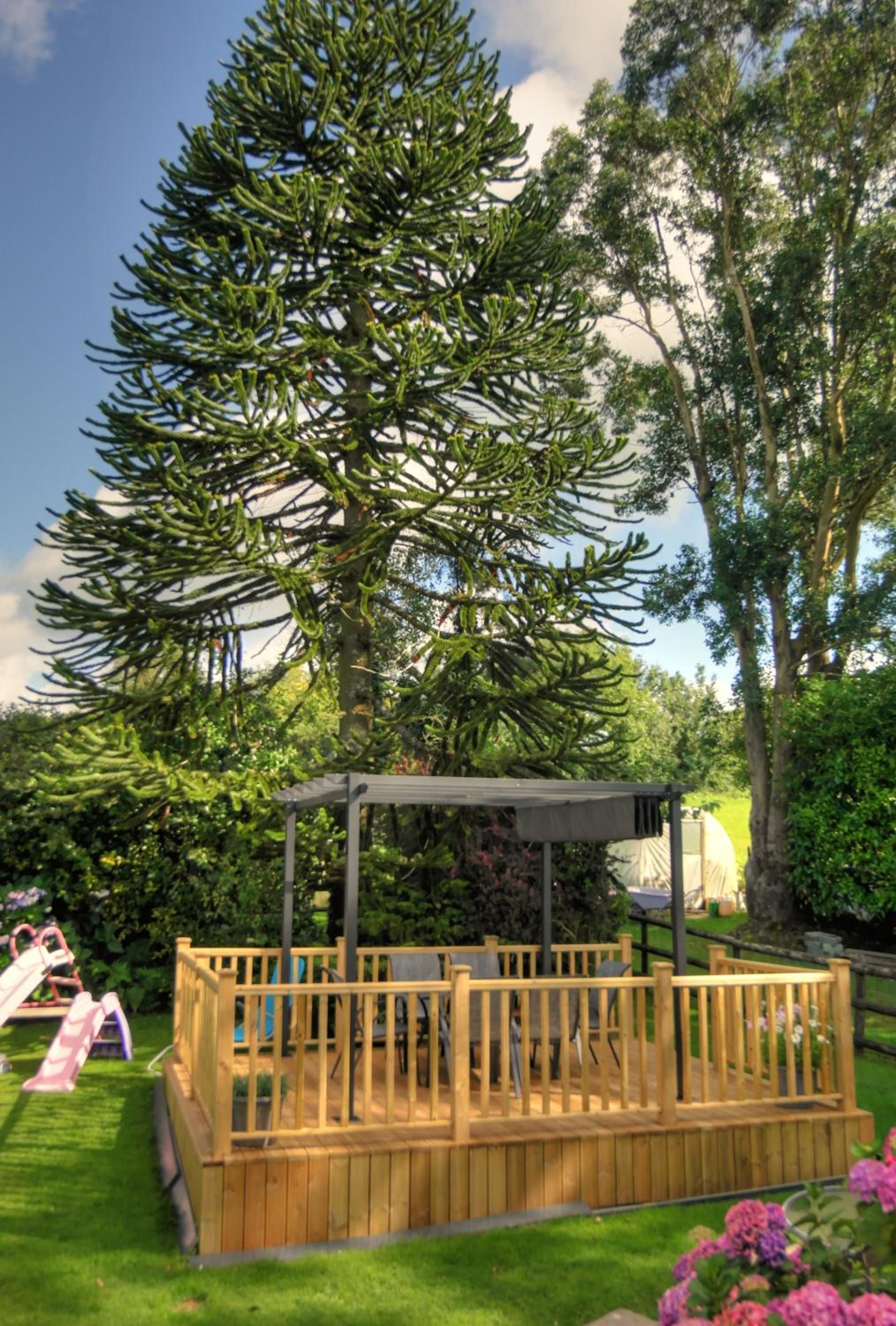 The East Wing @ Lower Broom Farm view 5