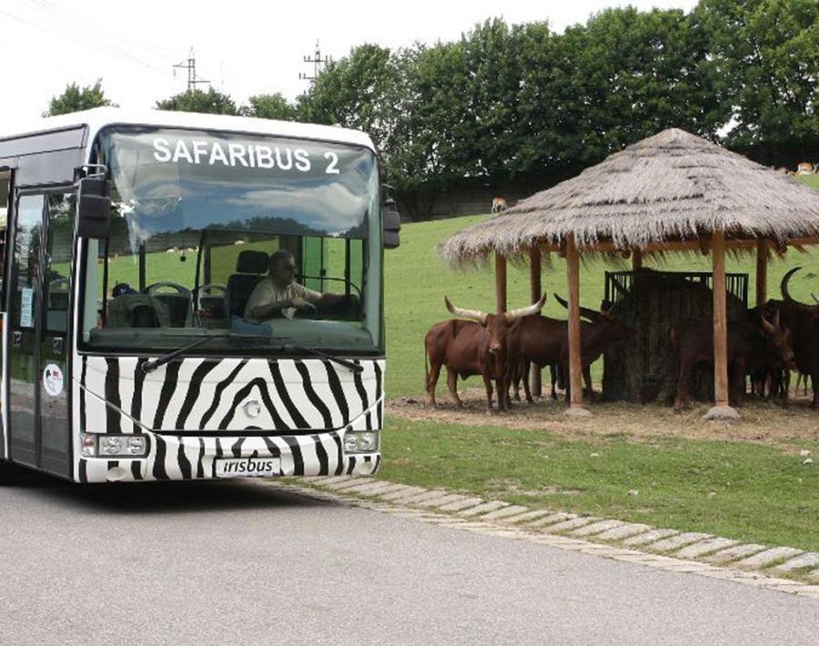 Rekreační dům U Skřítků