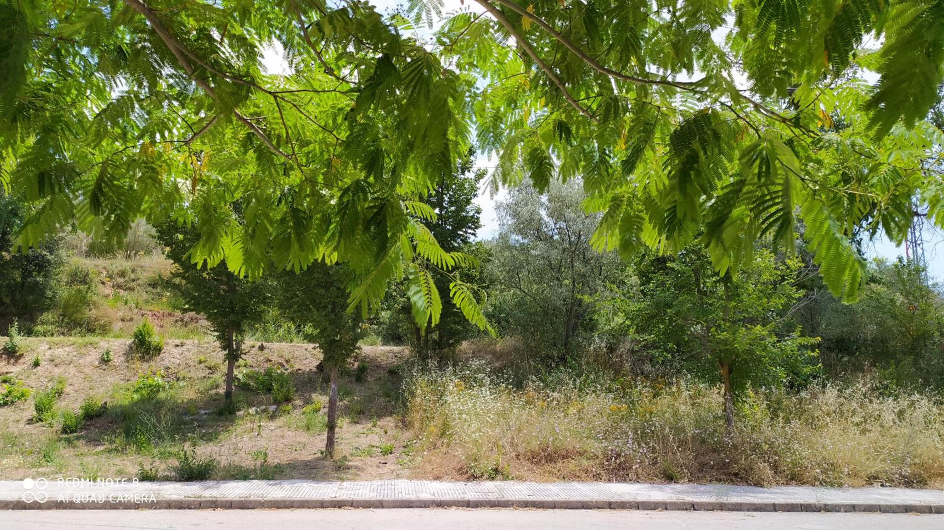 Casa Rural El Cerrete 2 view 5