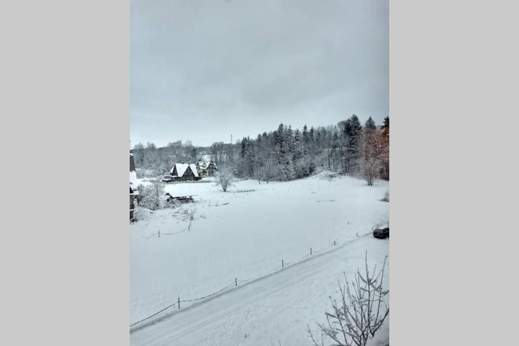 Apartament White Biały Dunajec view 4